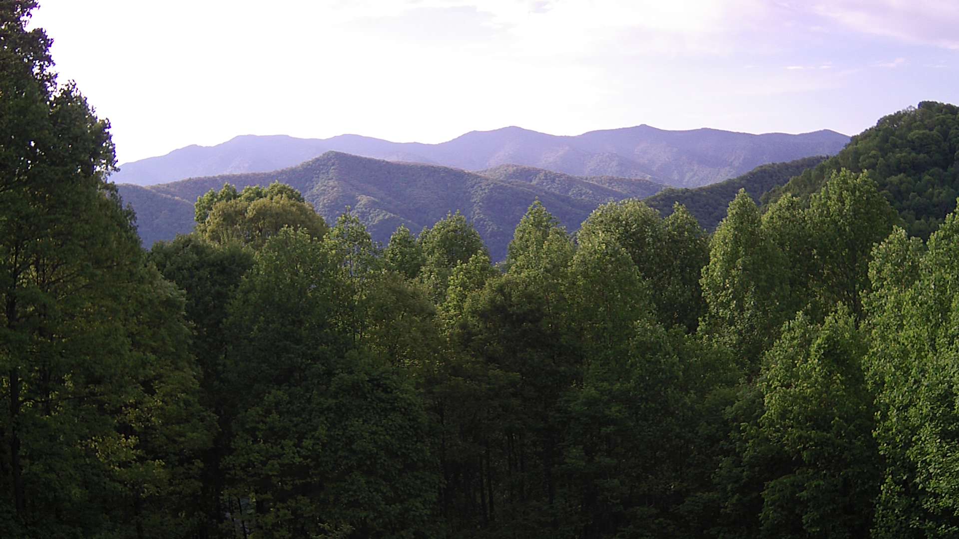 click for next image... slideshow image