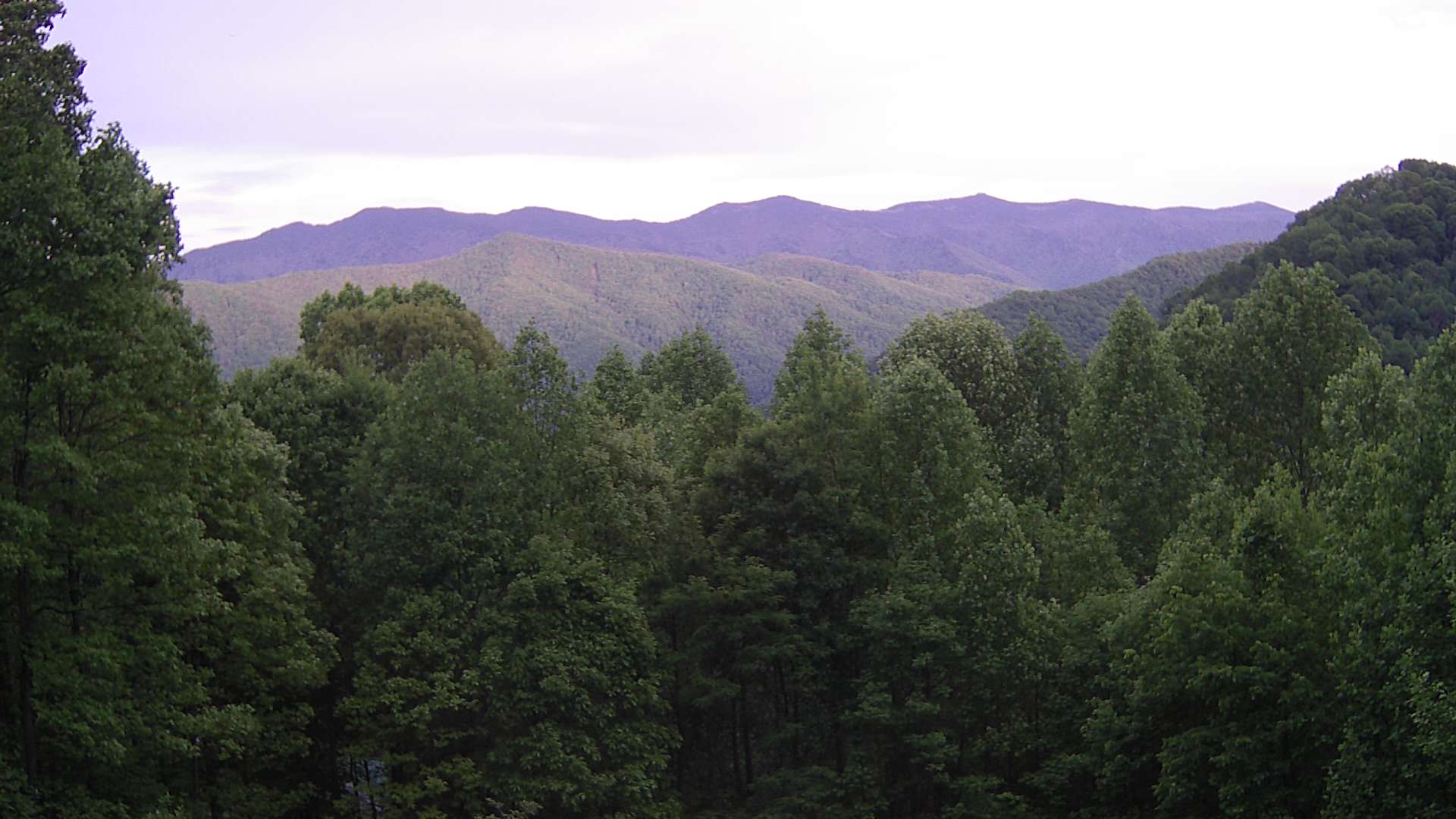 click for next image... slideshow image