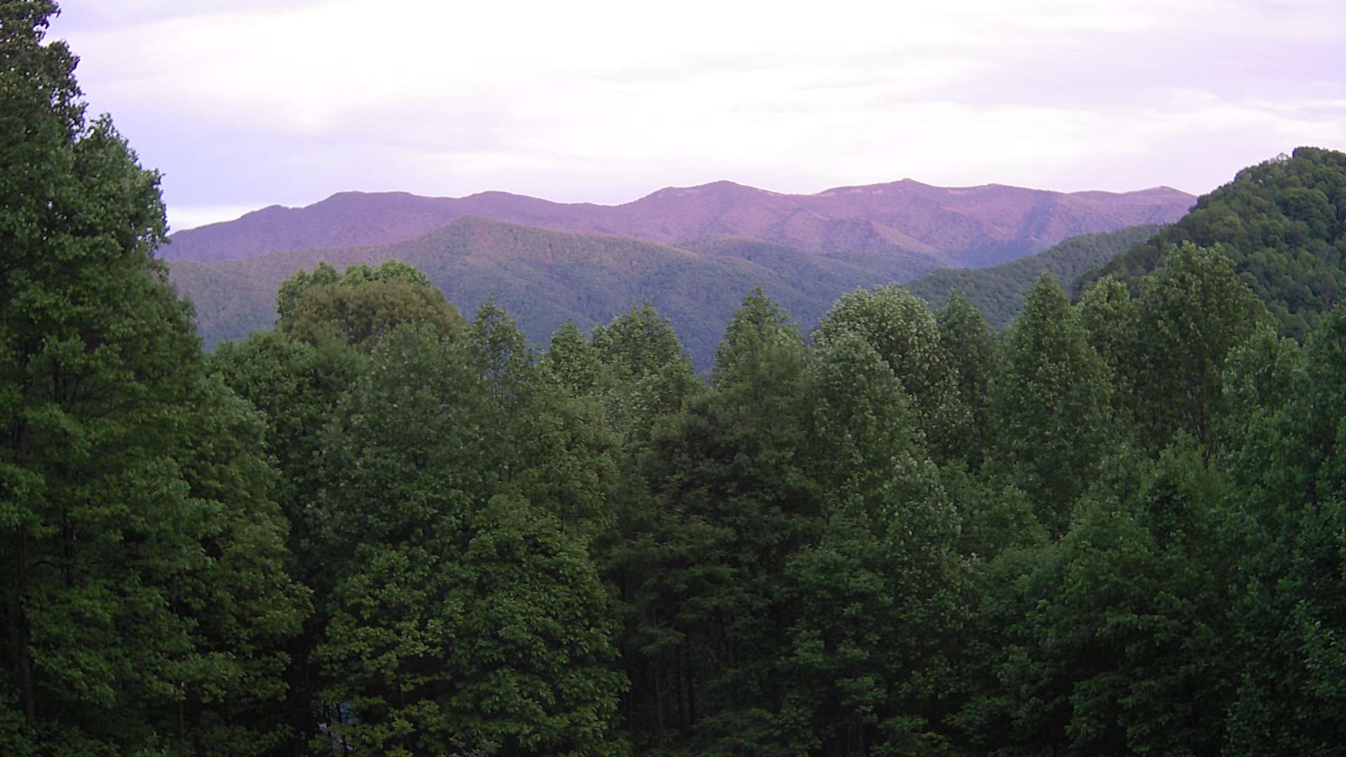 click for next image... slideshow image