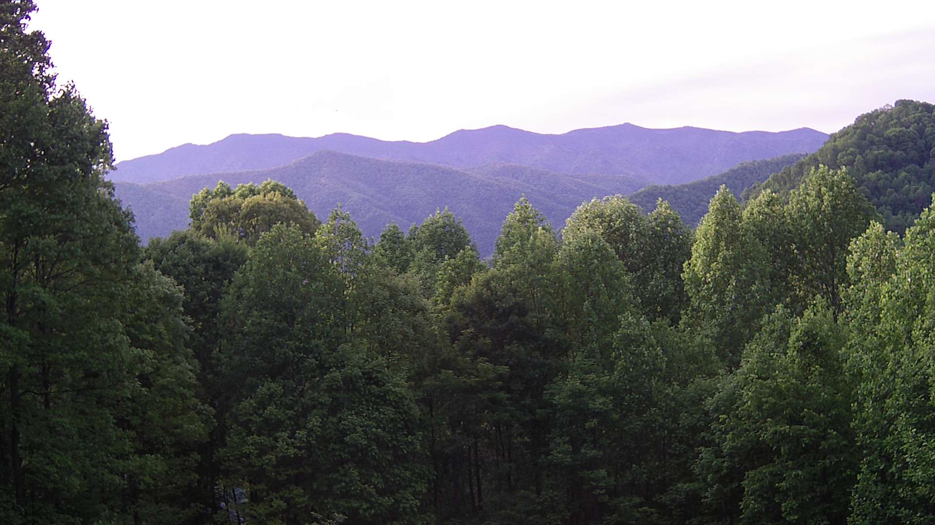 click for next image... slideshow image