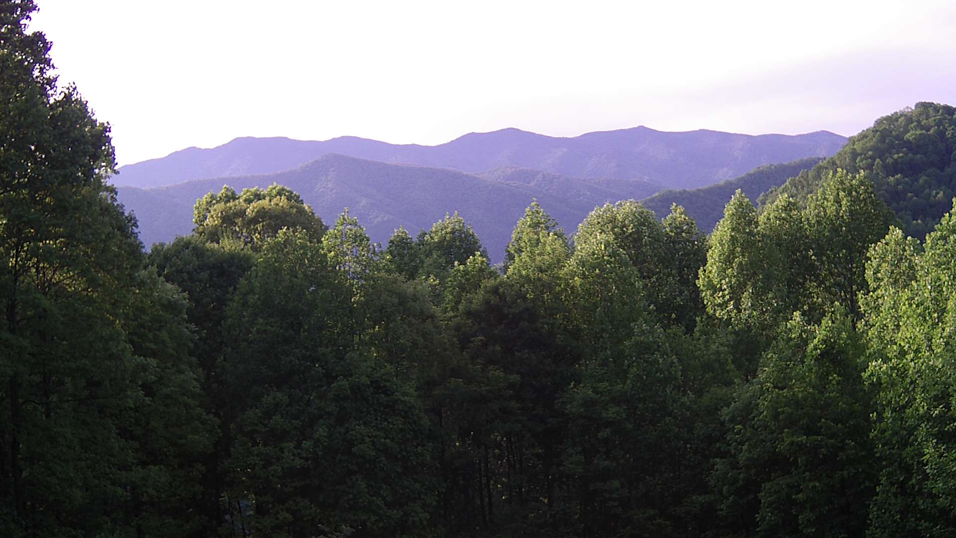 click for next image... slideshow image