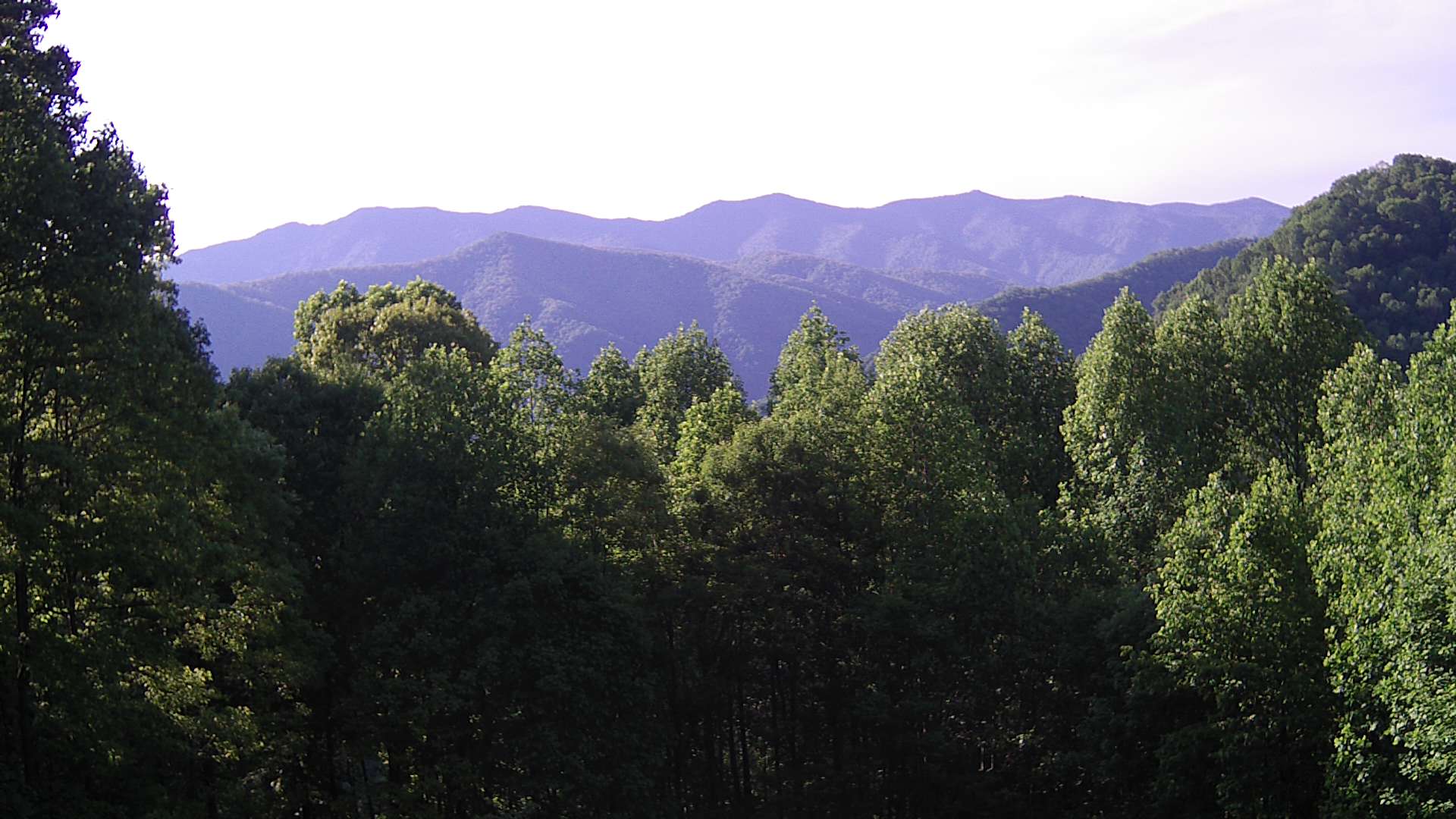 click for next image... slideshow image
