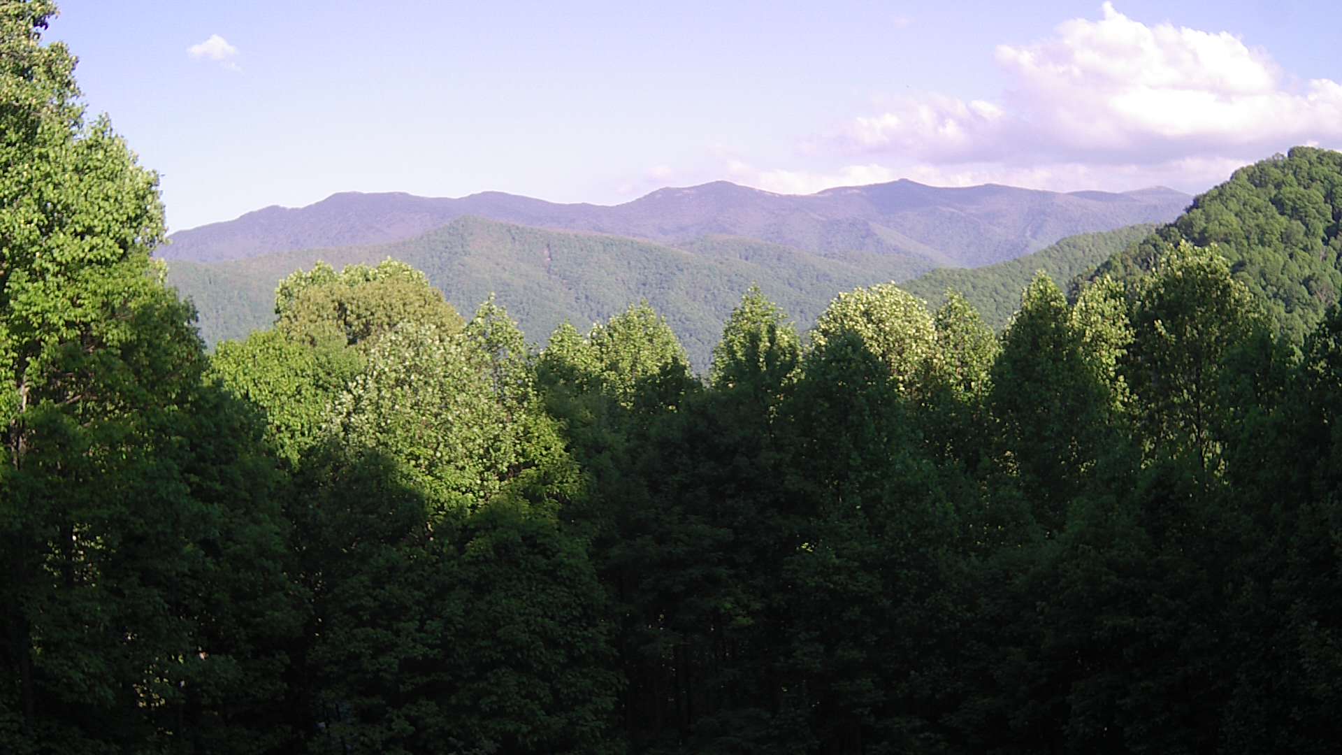 click for next image... slideshow image
