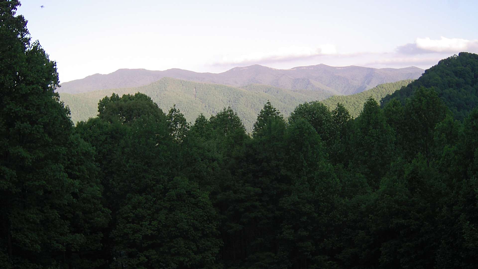 click for next image... slideshow image