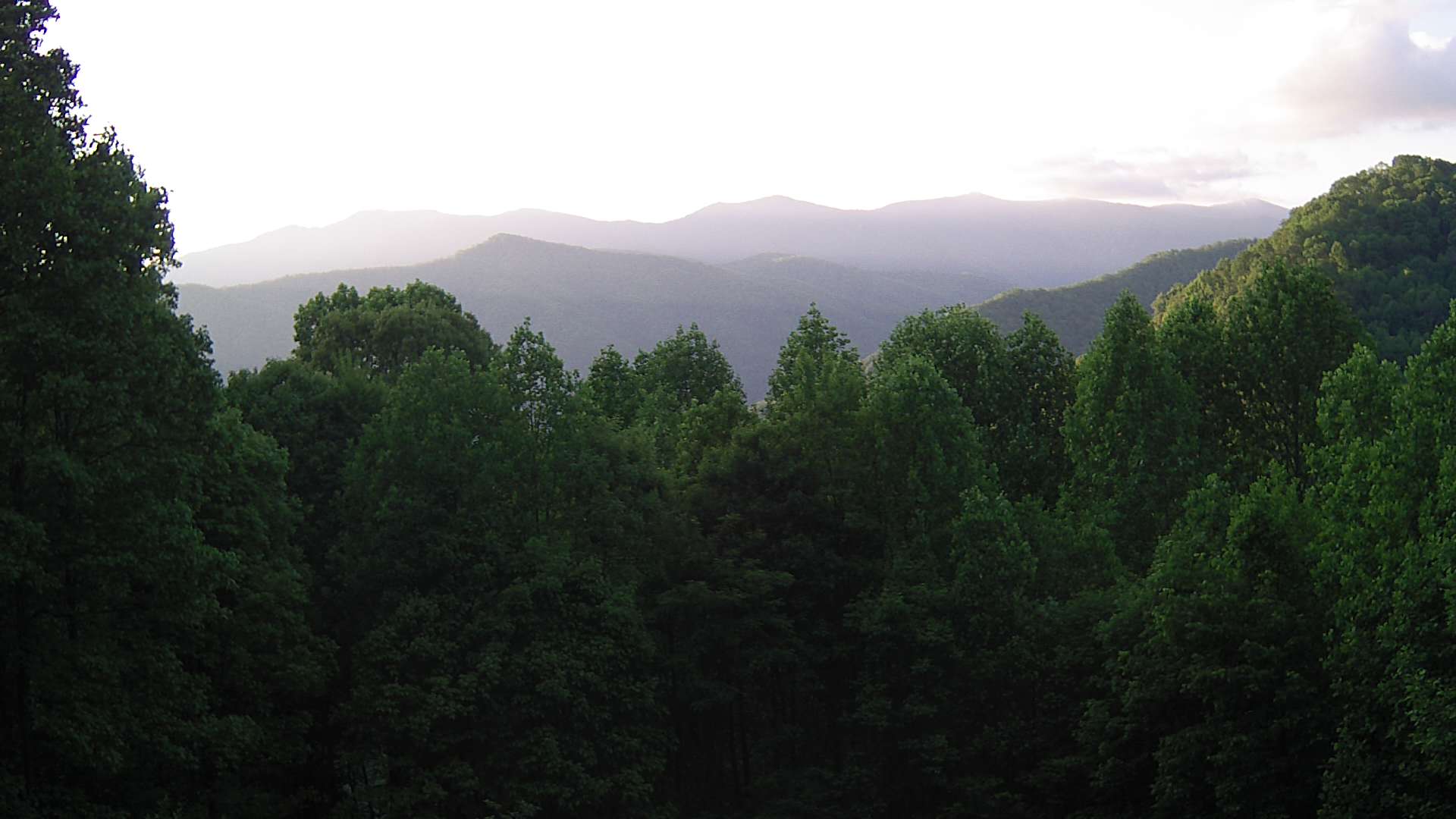 click for next image... slideshow image