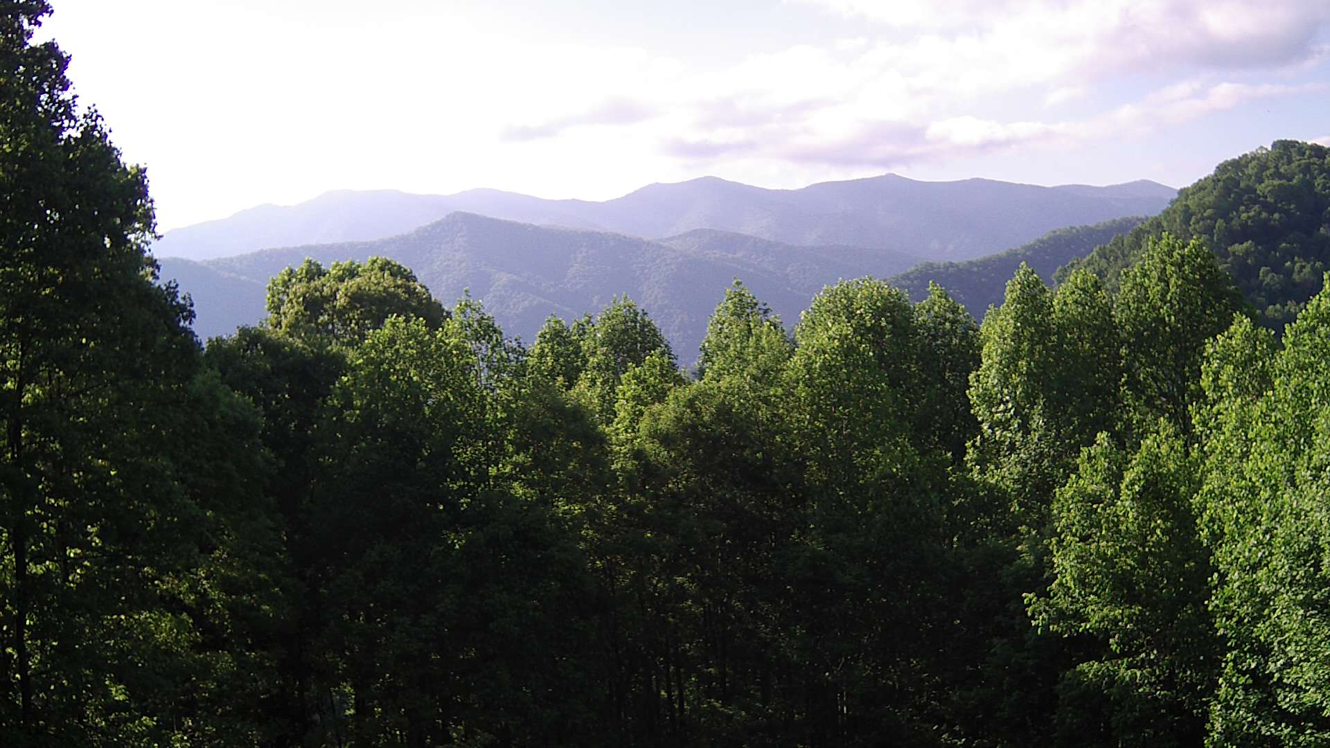 click for next image... slideshow image