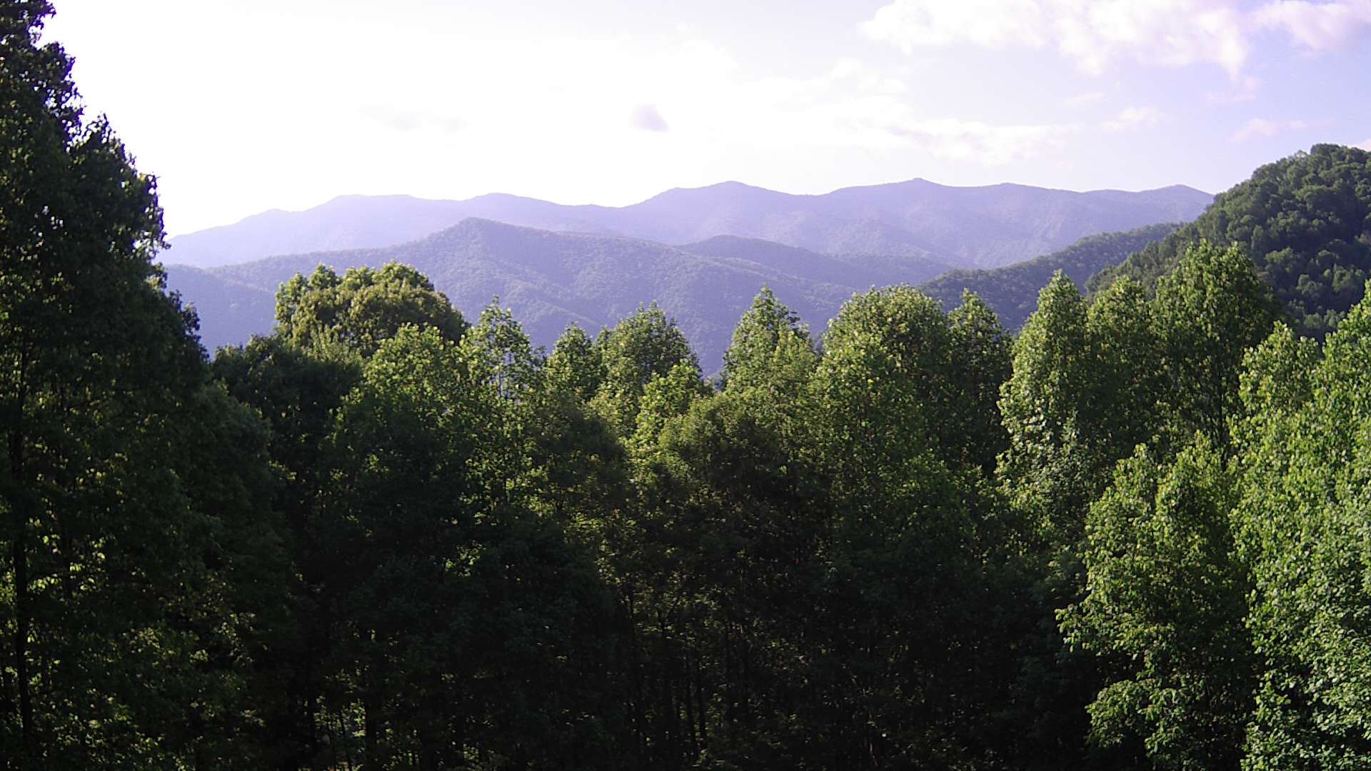click for next image... slideshow image