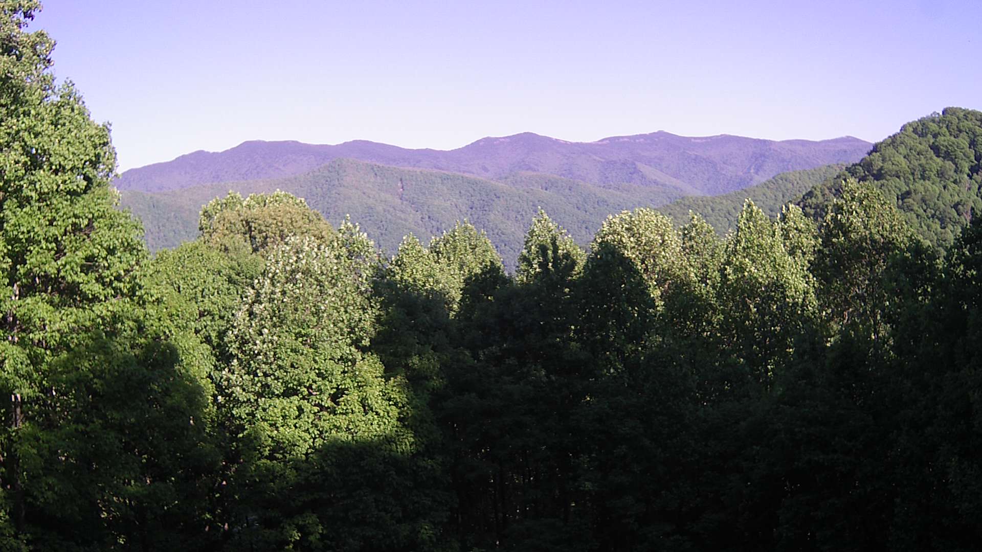 click for next image... slideshow image