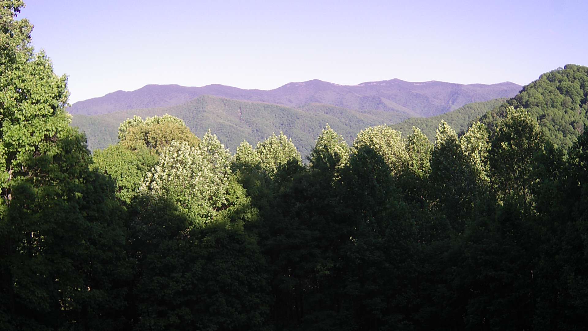 click for next image... slideshow image
