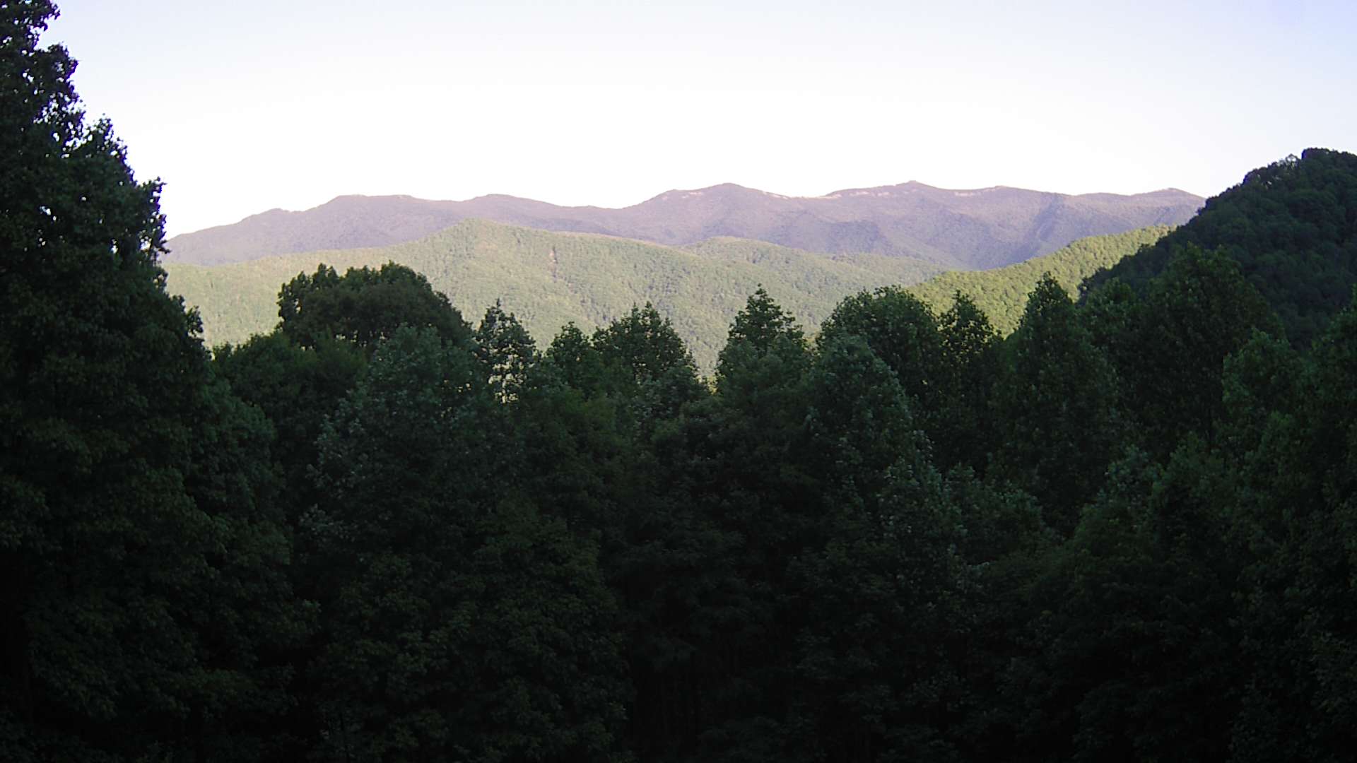 click for next image... slideshow image