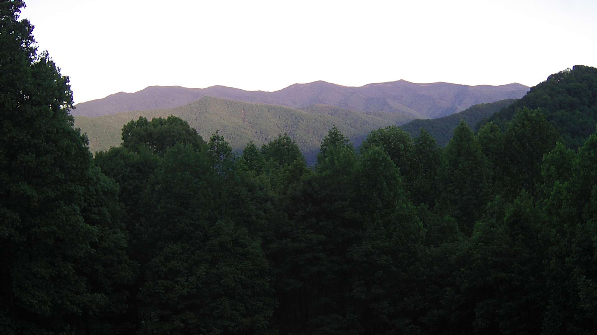 click for next image... slideshow image