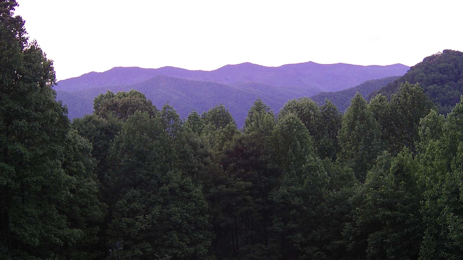 click for next image... slideshow image
