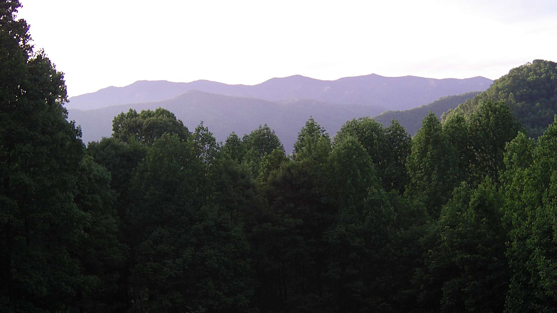 click for next image... slideshow image