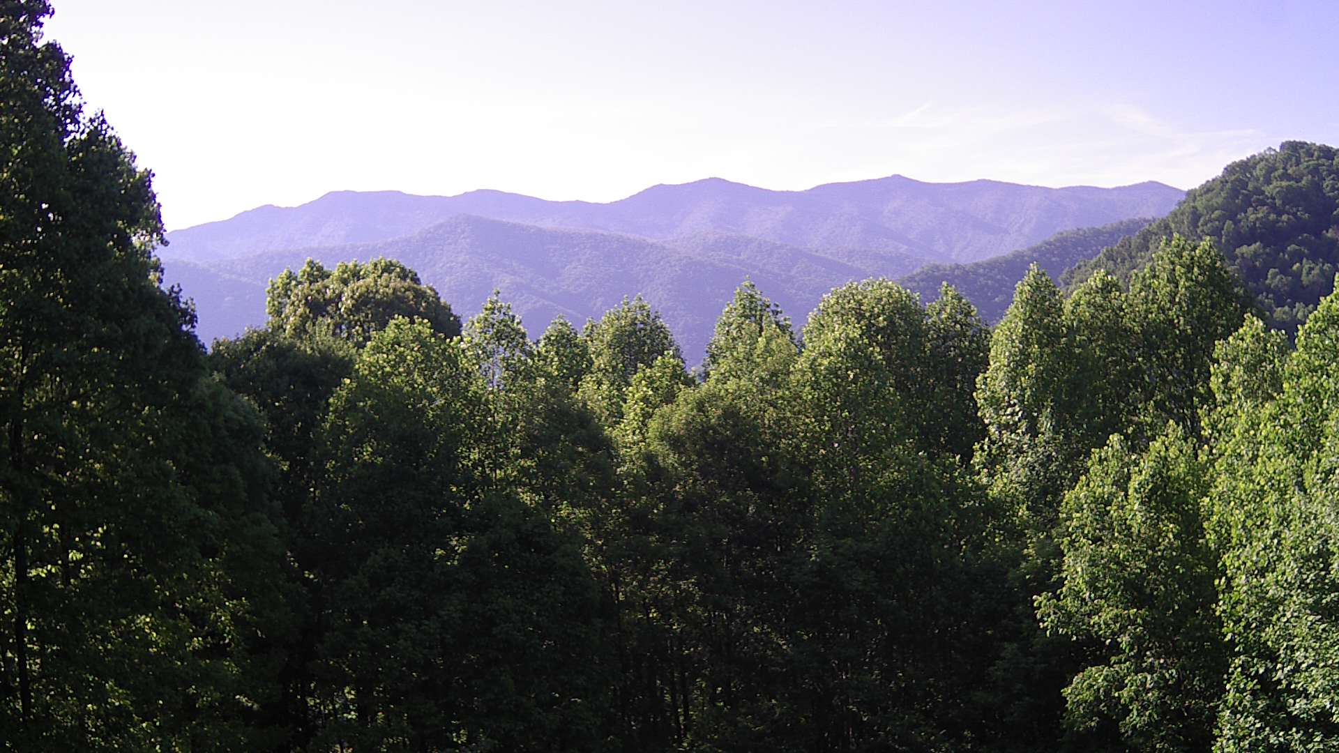 click for next image... slideshow image
