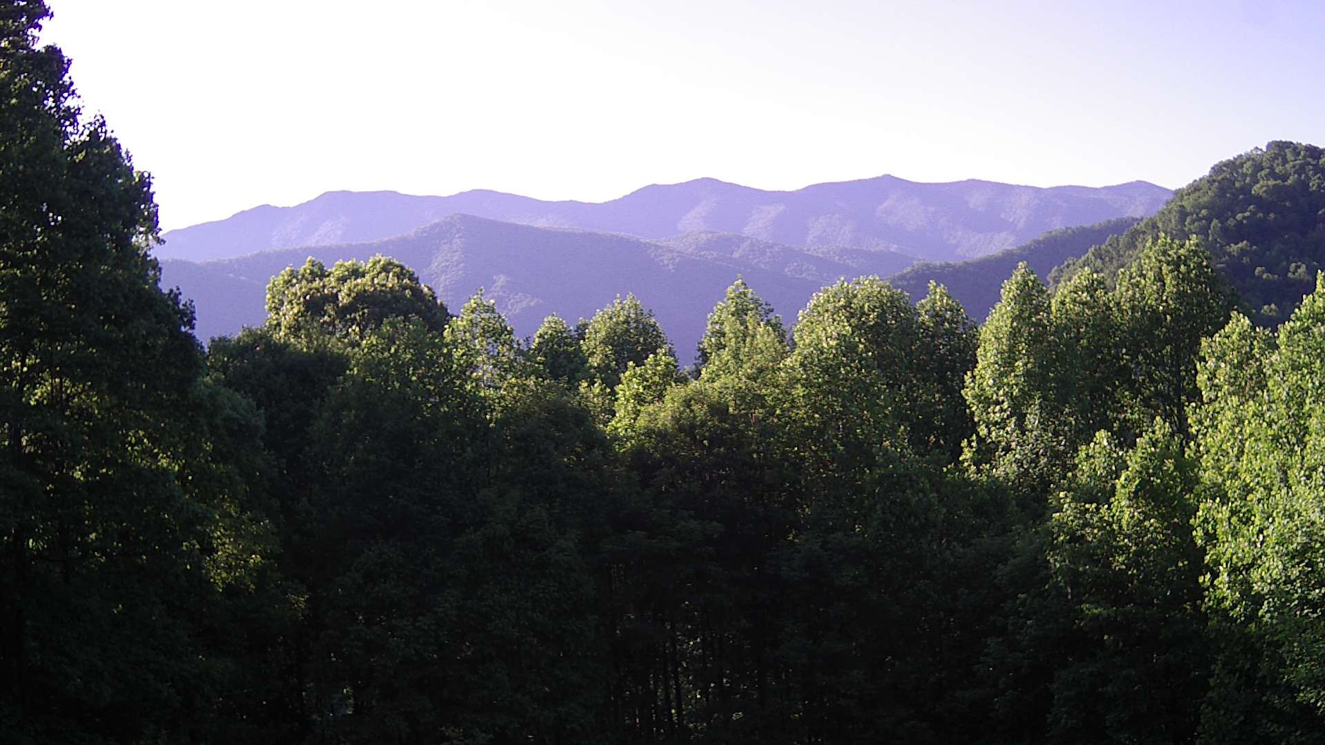 click for next image... slideshow image