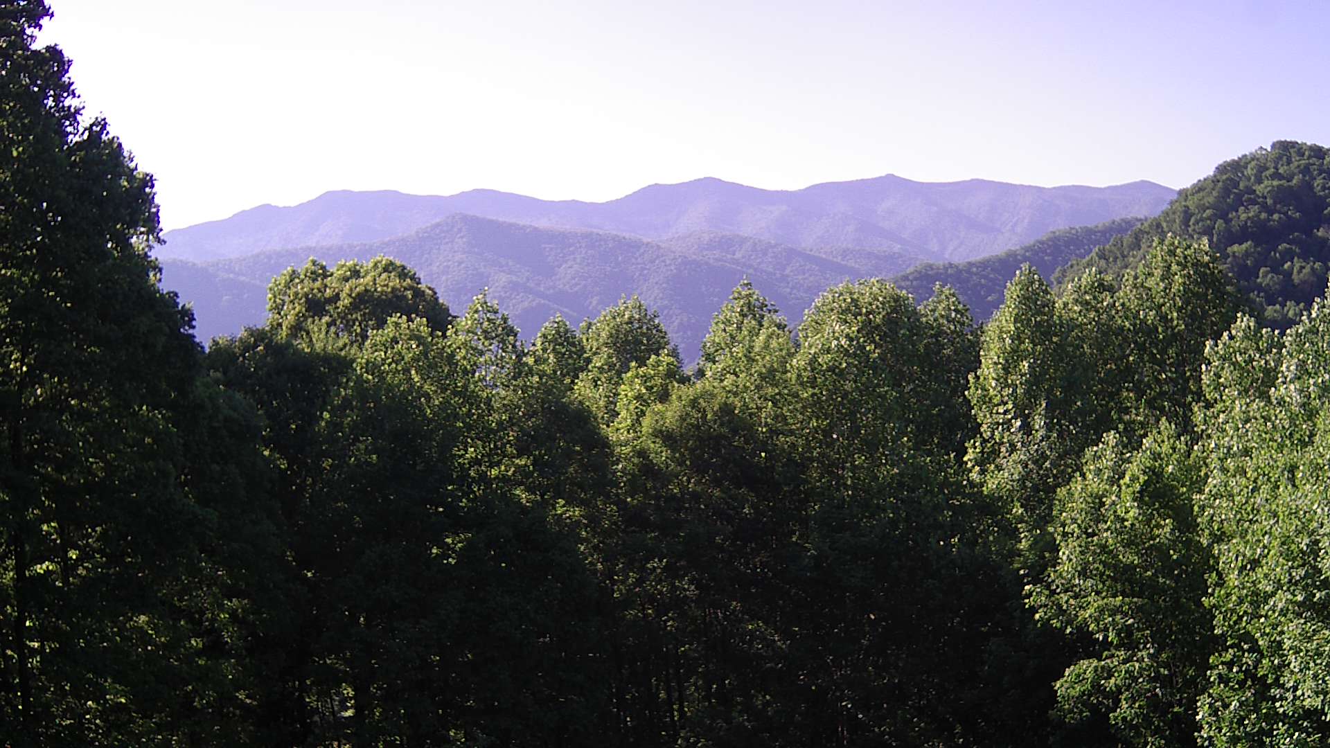 click for next image... slideshow image