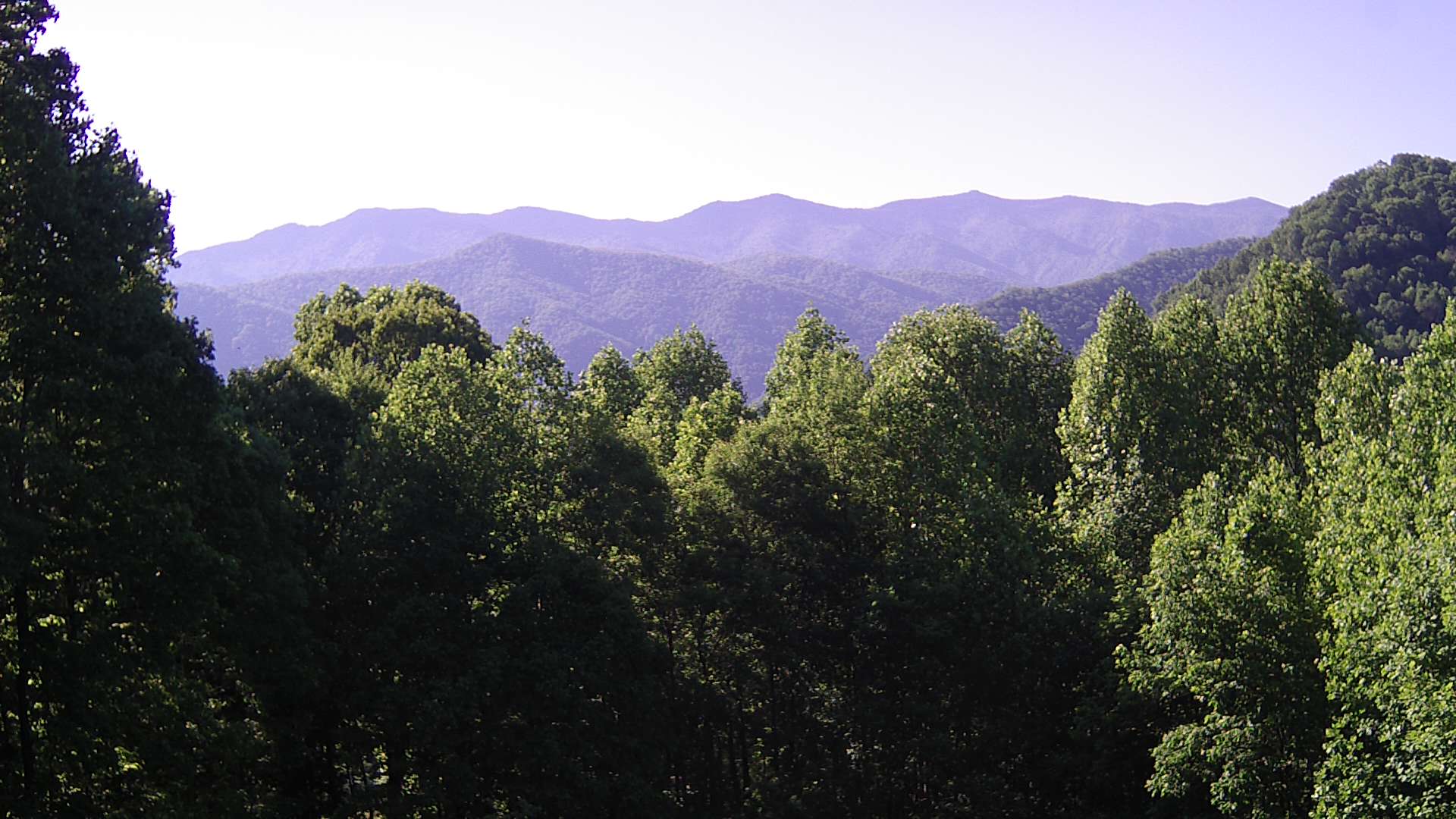 click for next image... slideshow image