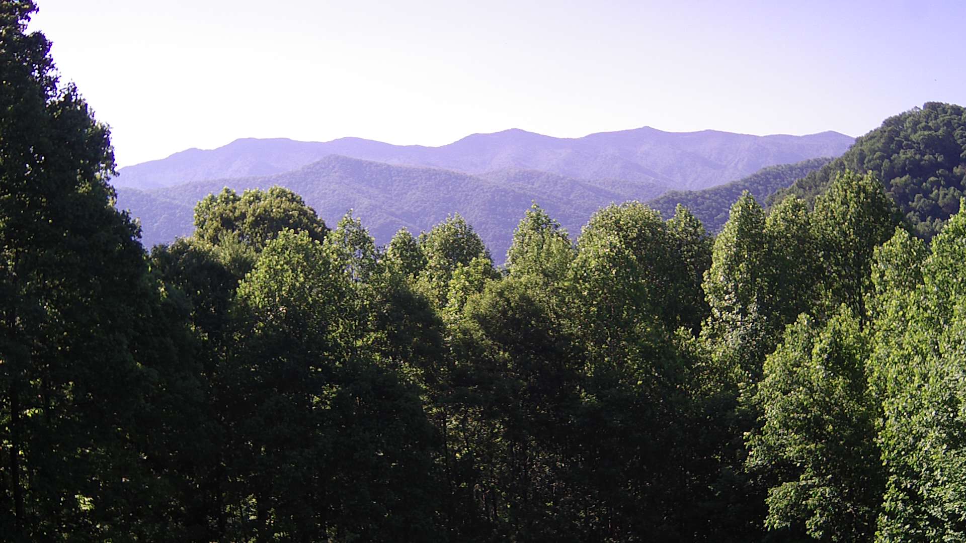 click for next image... slideshow image