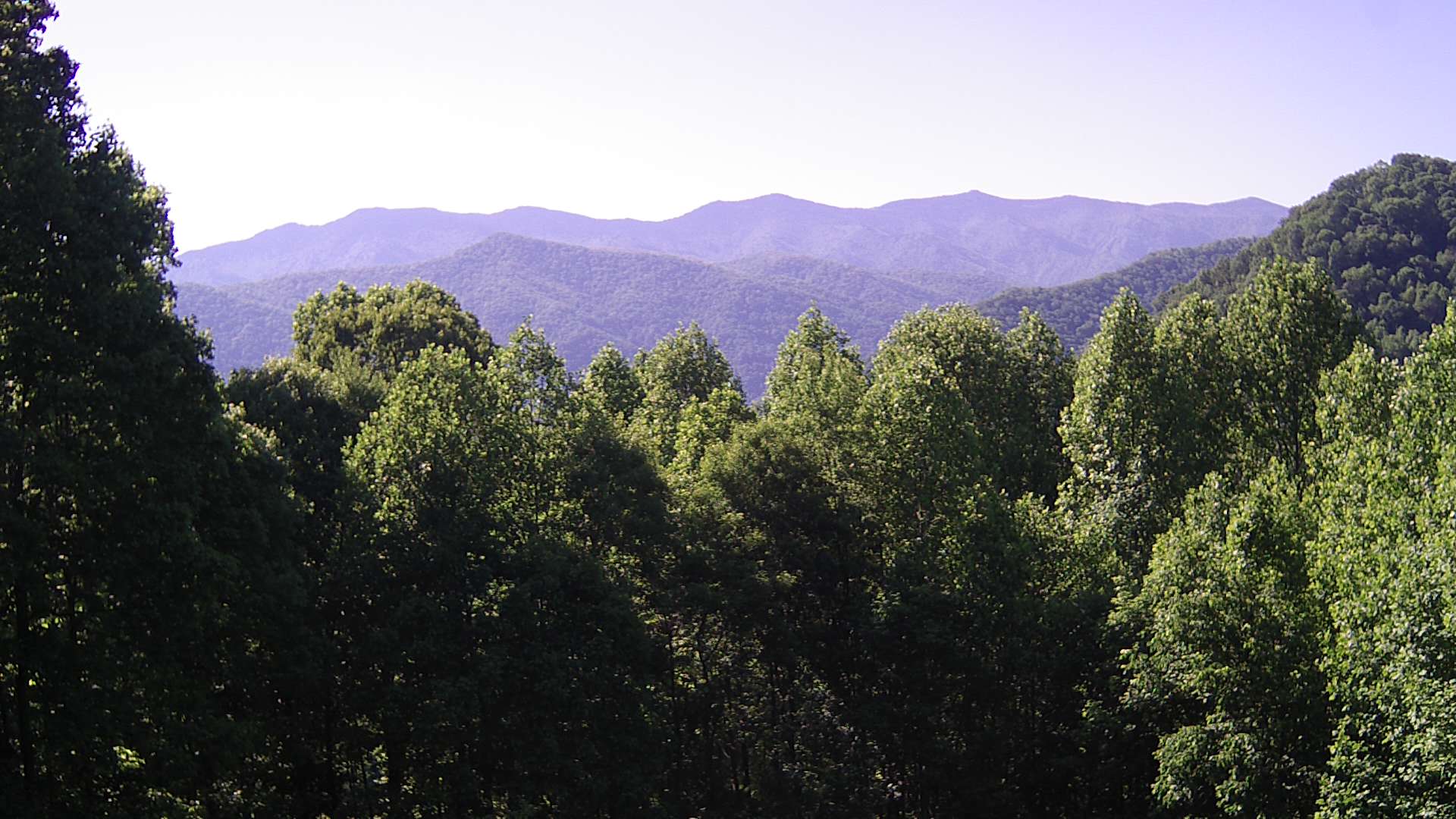 click for next image... slideshow image