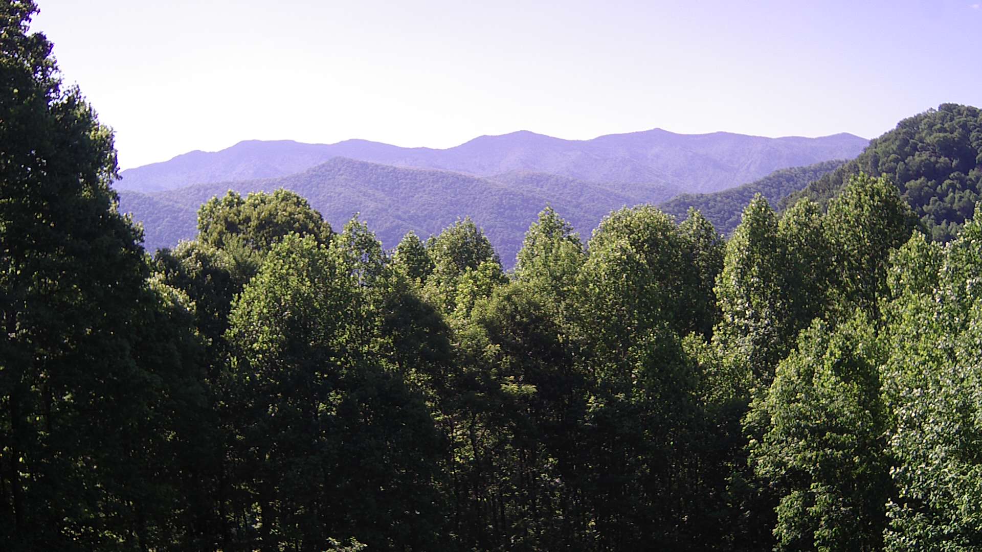 click for next image... slideshow image