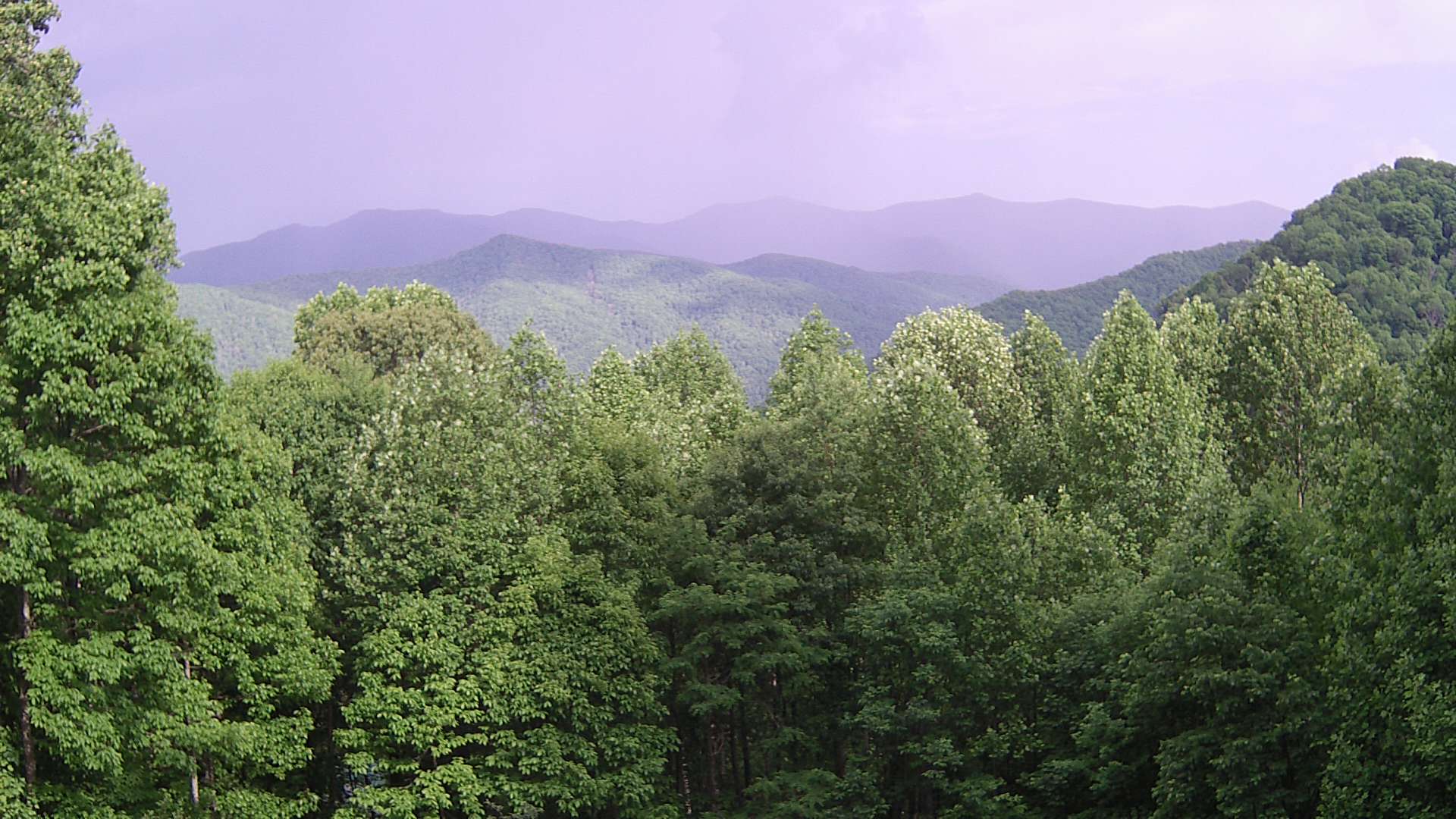 click for next image... slideshow image