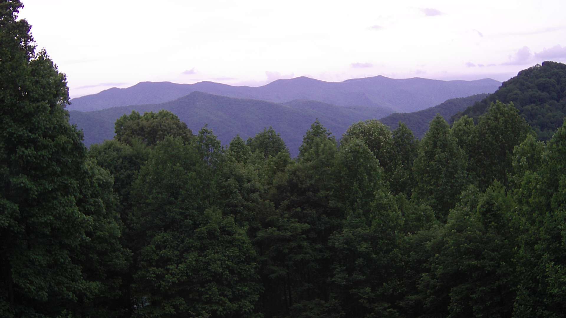 click for next image... slideshow image