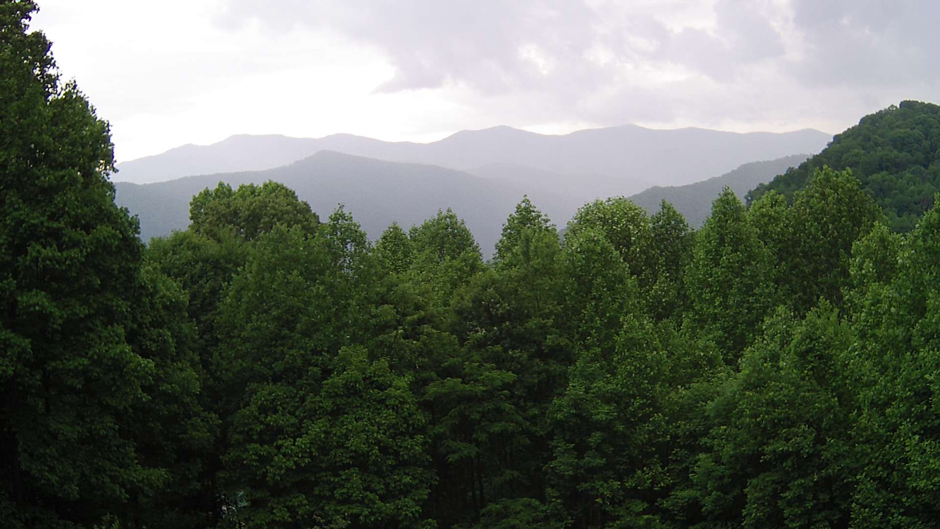 click for next image... slideshow image