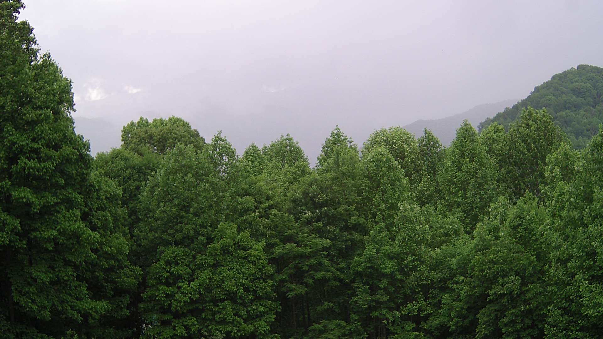 click for next image... slideshow image