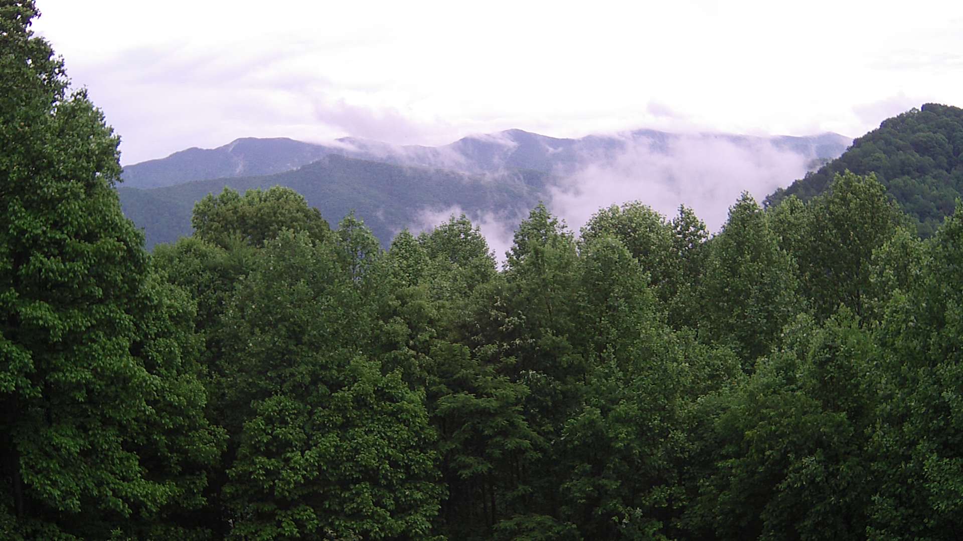 click for next image... slideshow image