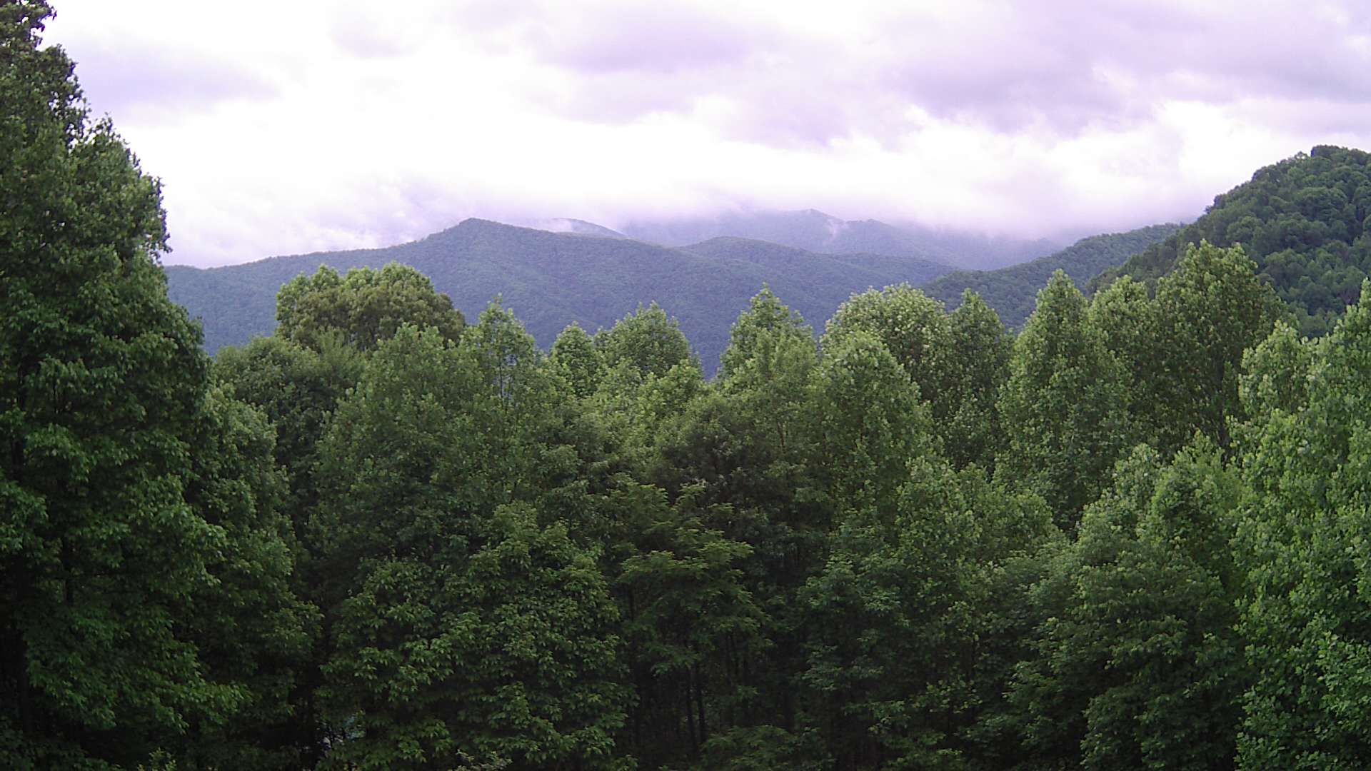 click for next image... slideshow image