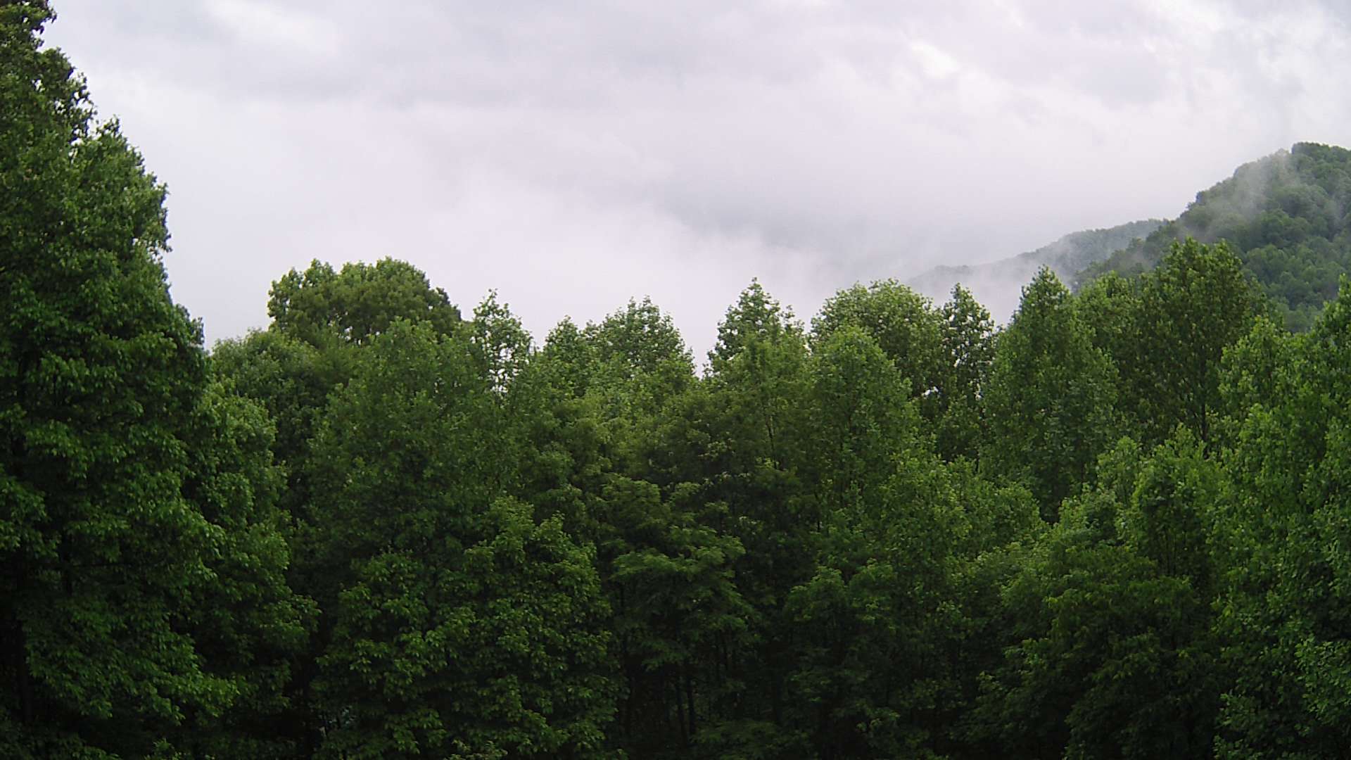 click for next image... slideshow image
