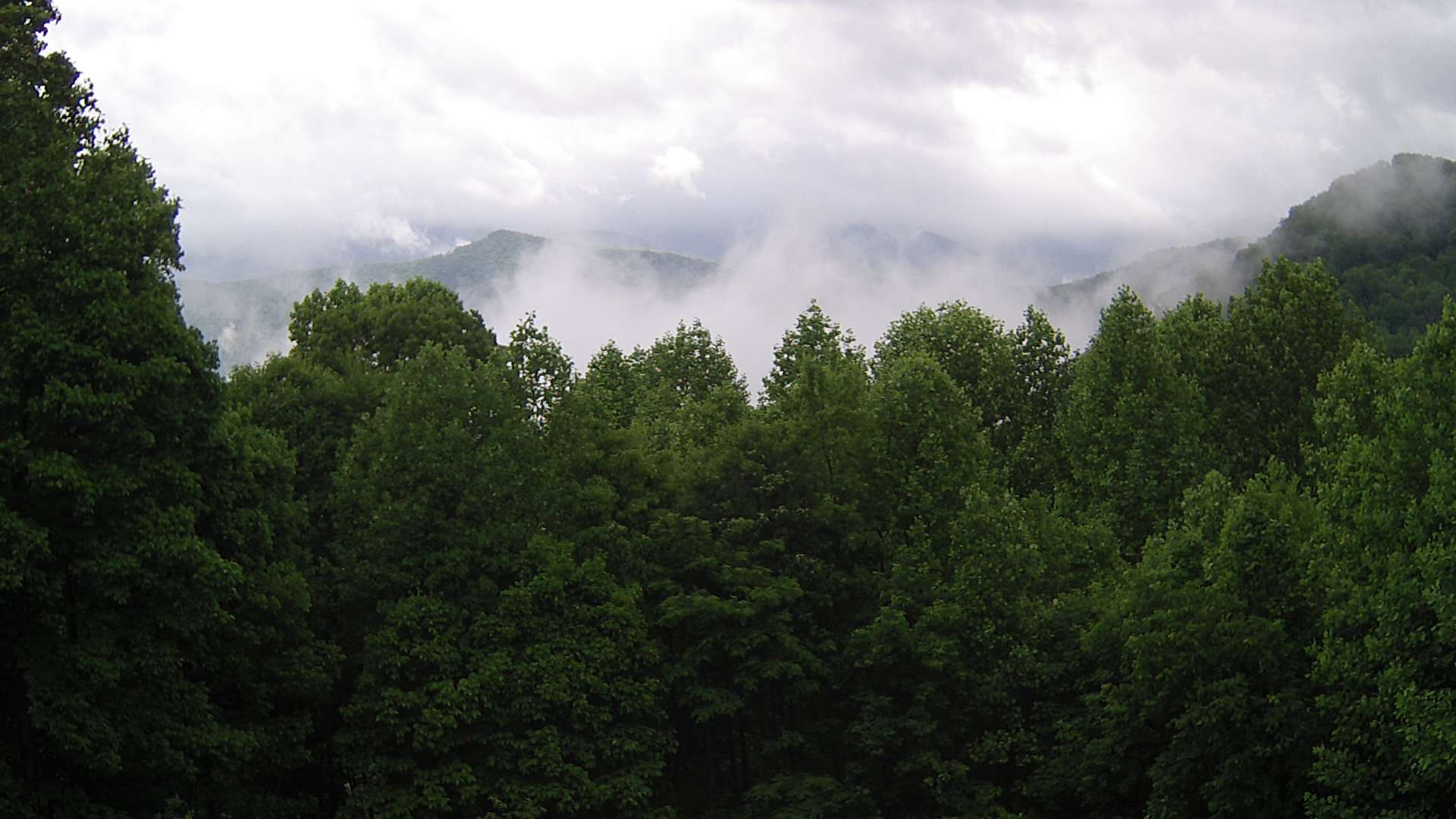 click for next image... slideshow image