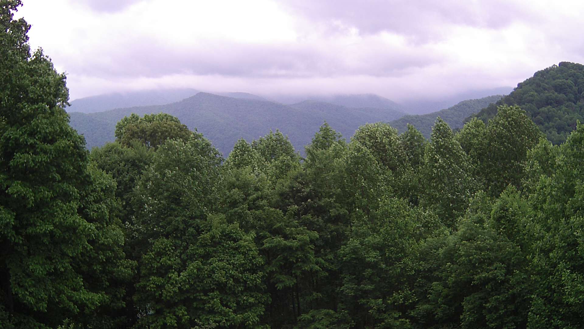 click for next image... slideshow image