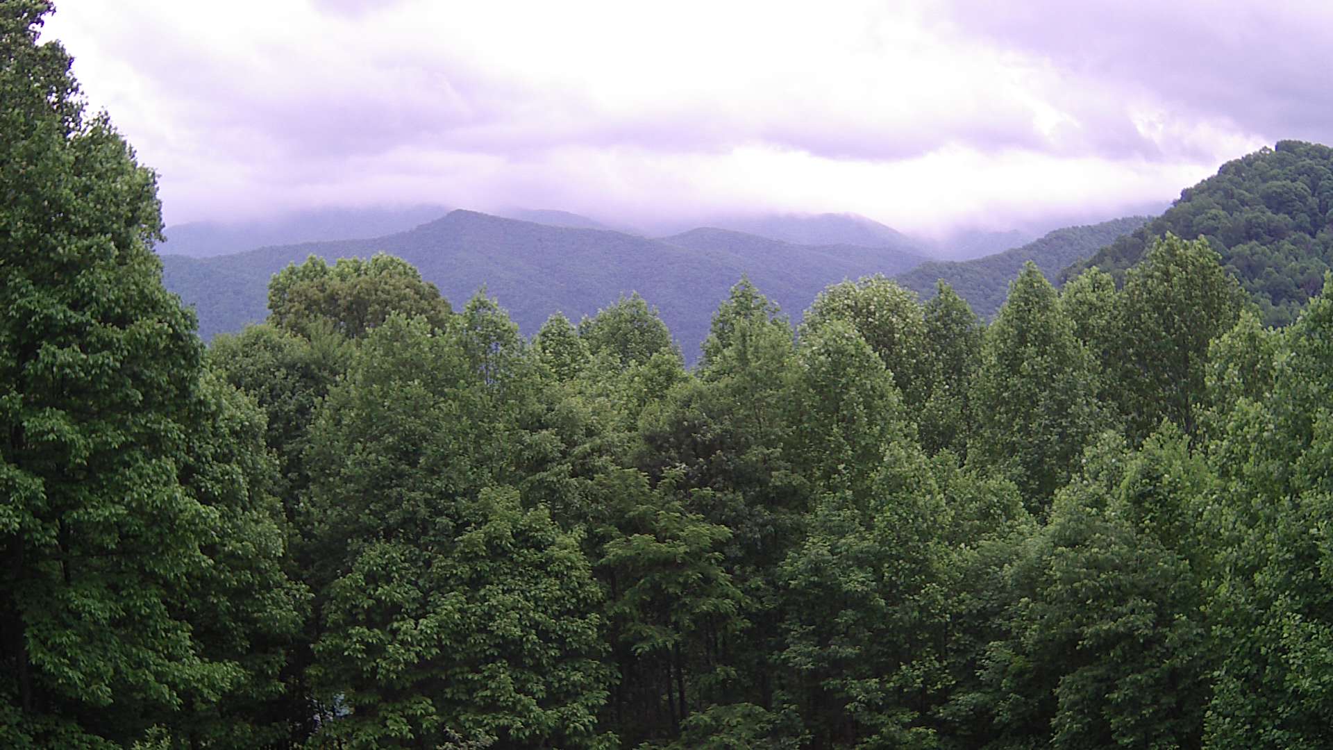 click for next image... slideshow image