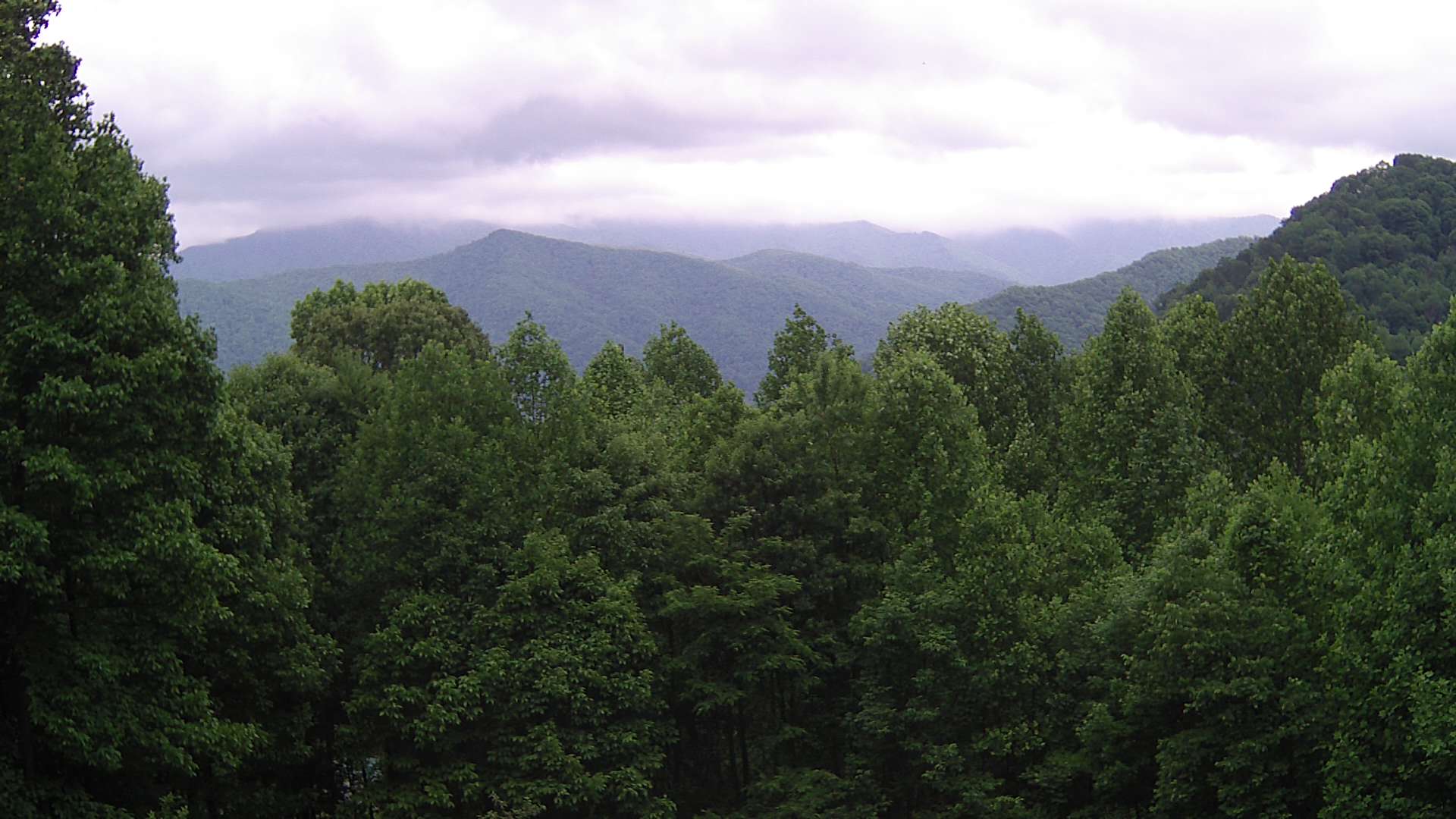 click for next image... slideshow image