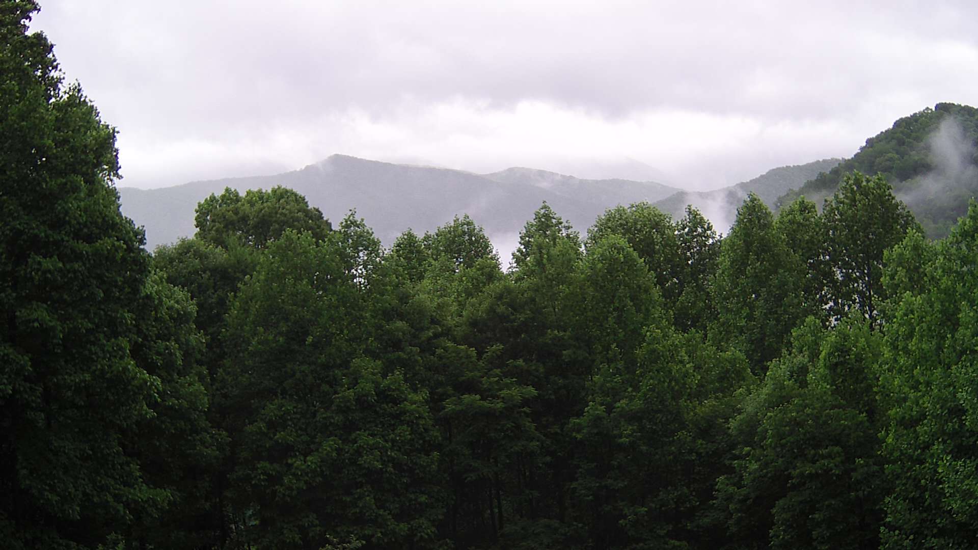 click for next image... slideshow image