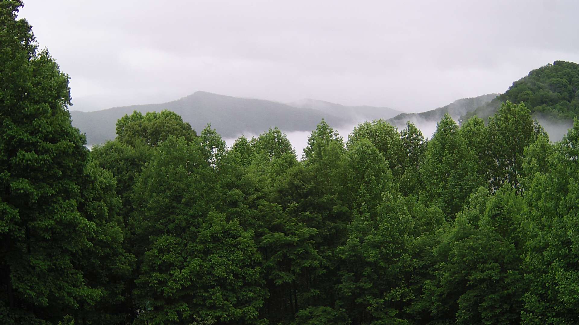 click for next image... slideshow image