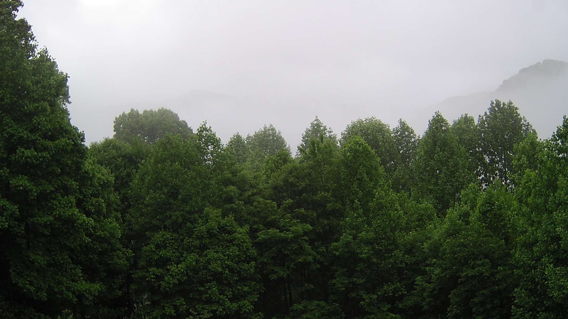 click for next image... slideshow image