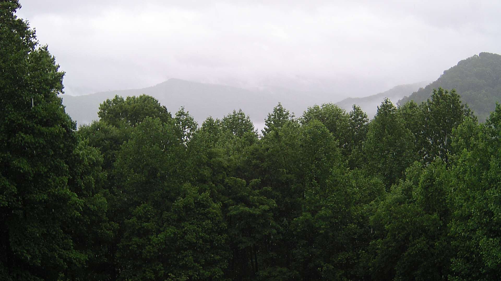click for next image... slideshow image