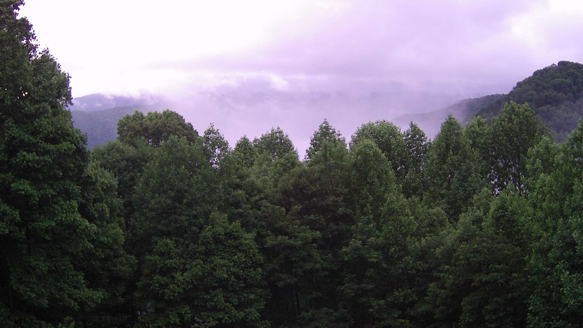 click for next image... slideshow image