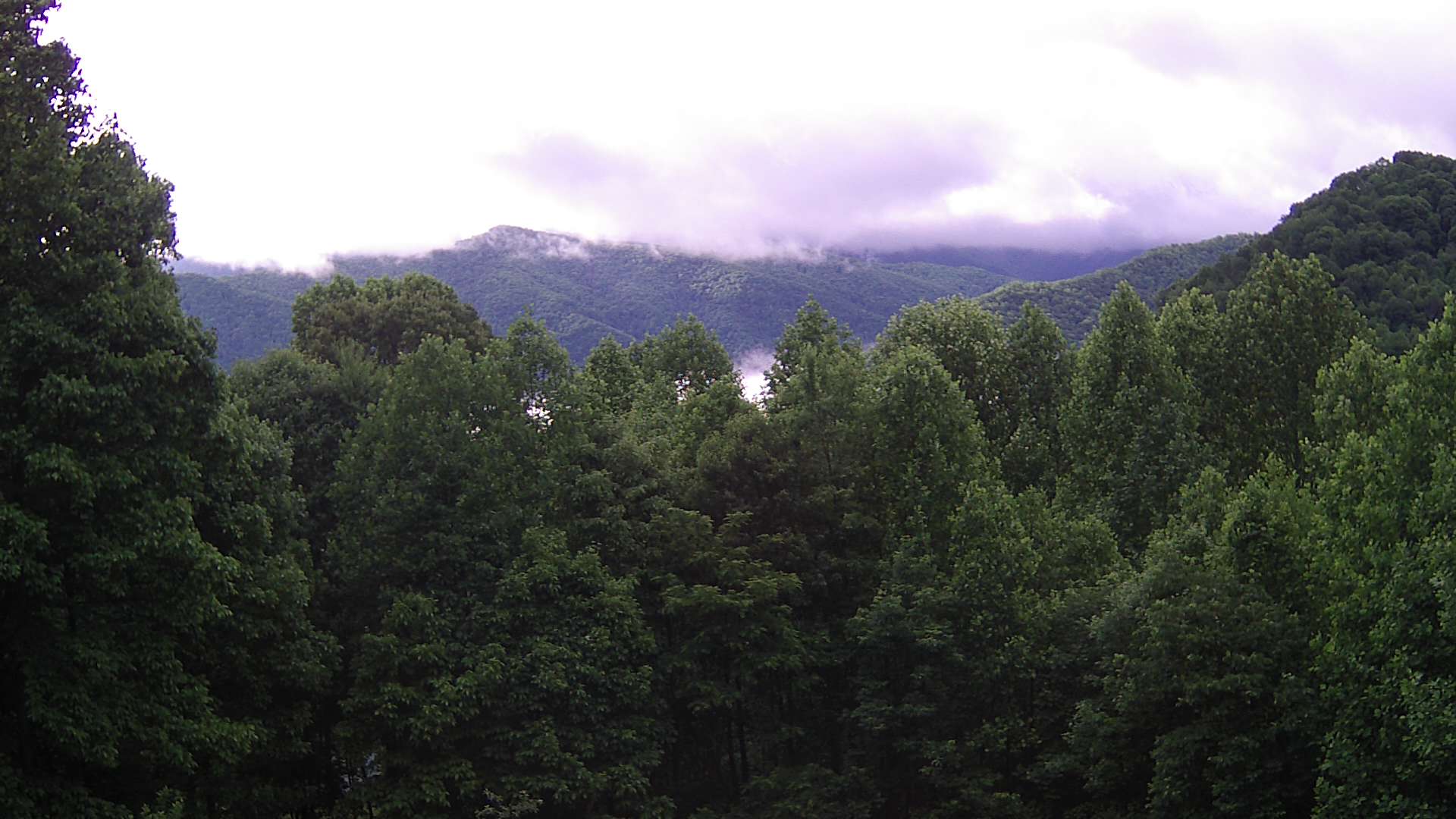 click for next image... slideshow image