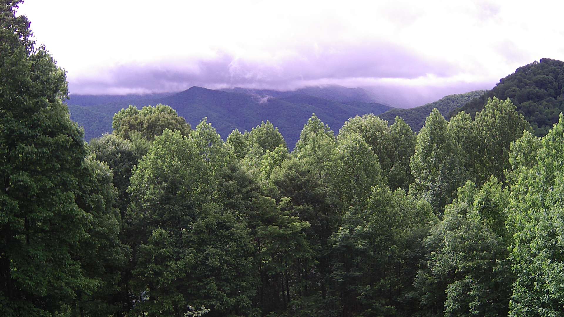 click for next image... slideshow image