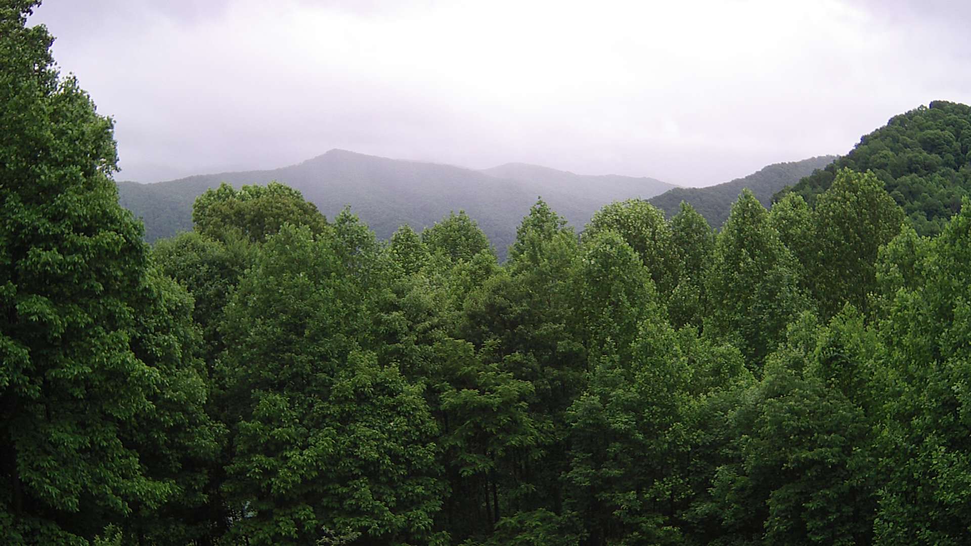 click for next image... slideshow image