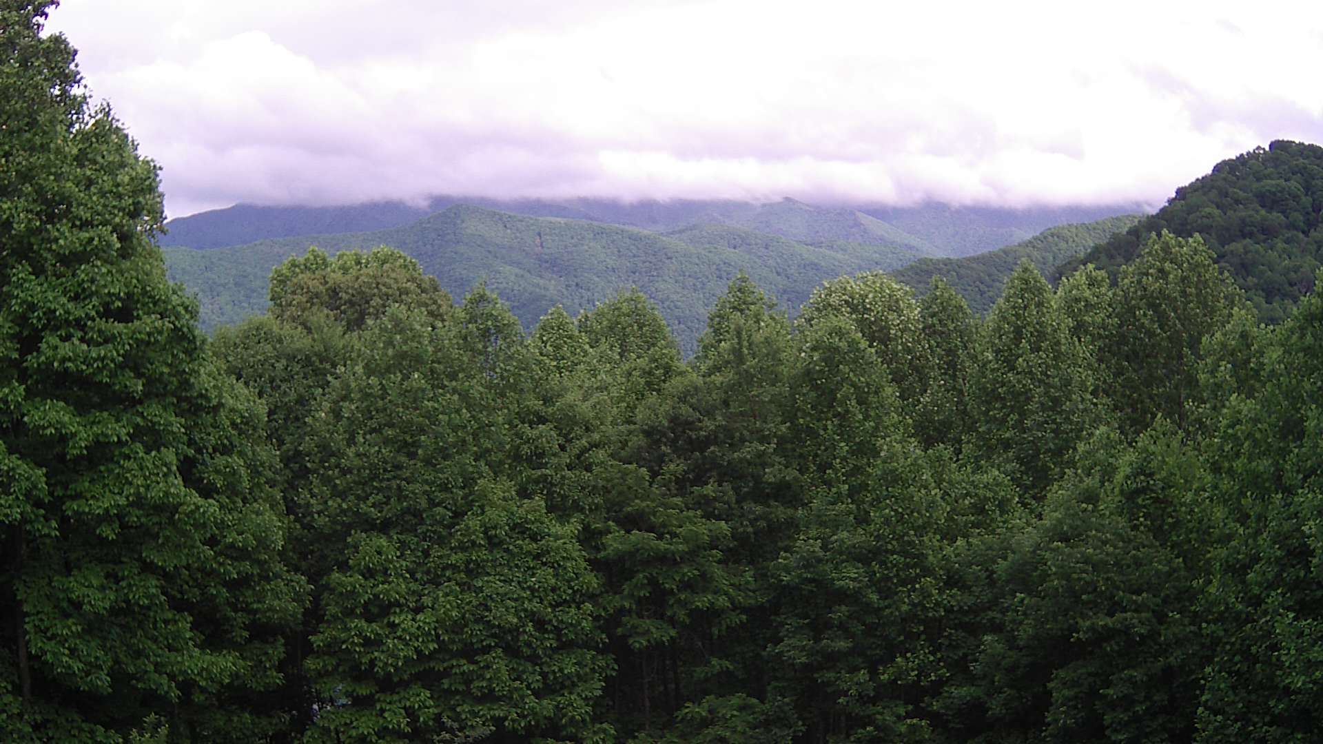 click for next image... slideshow image