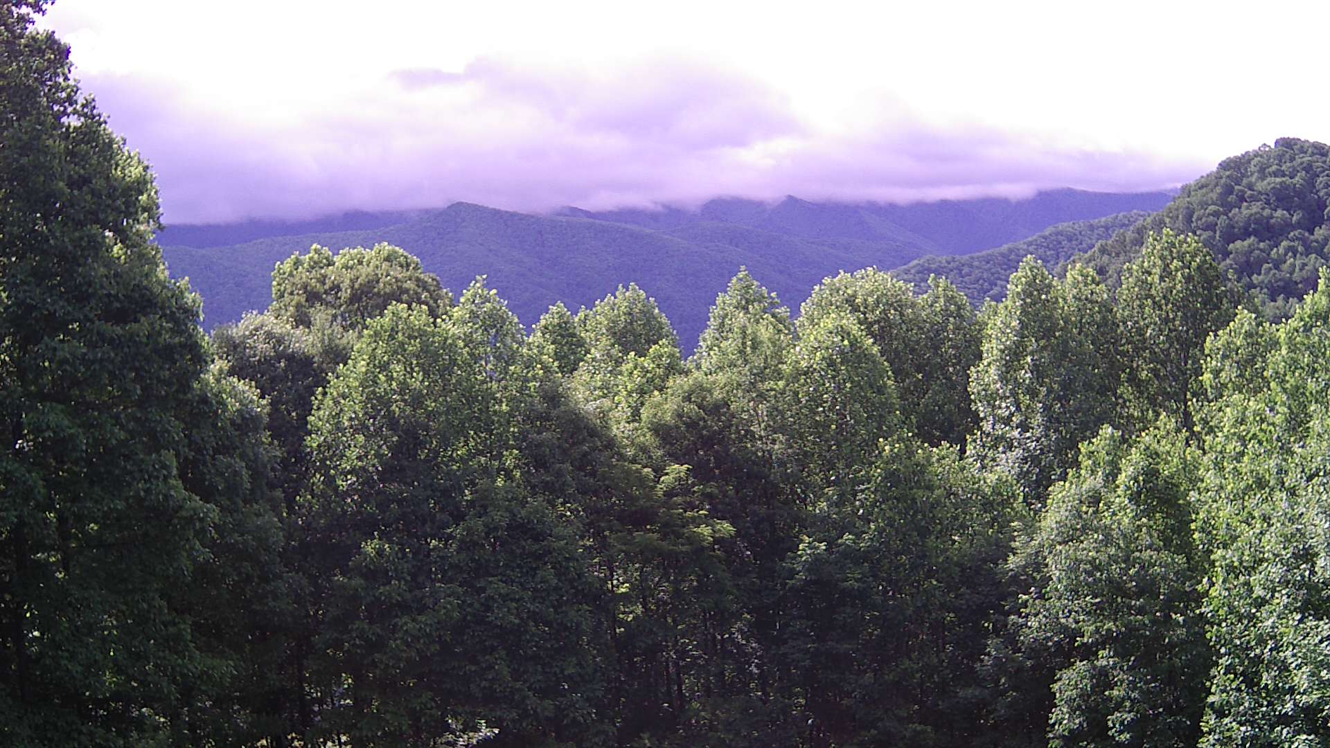 click for next image... slideshow image