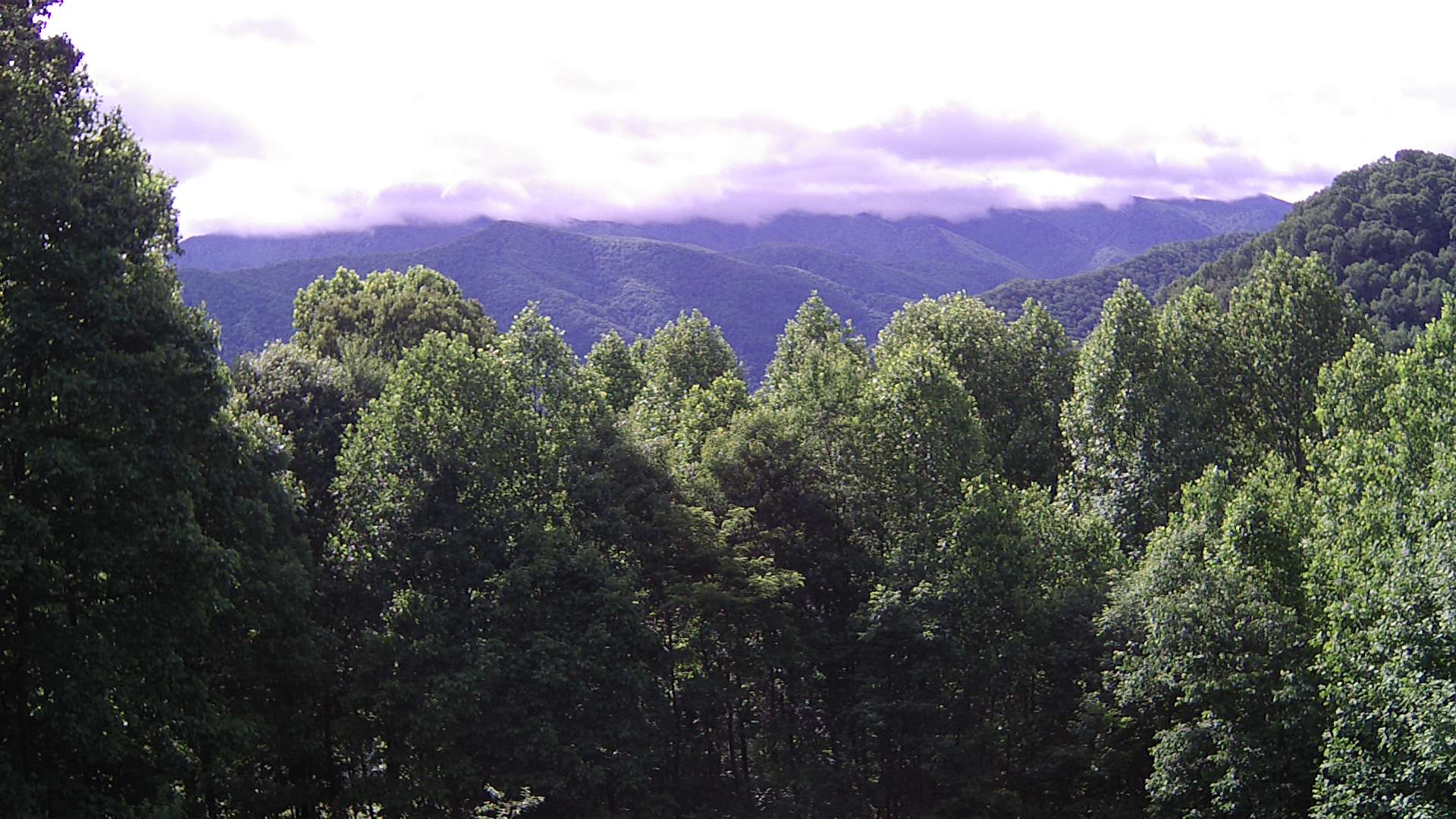 click for next image... slideshow image
