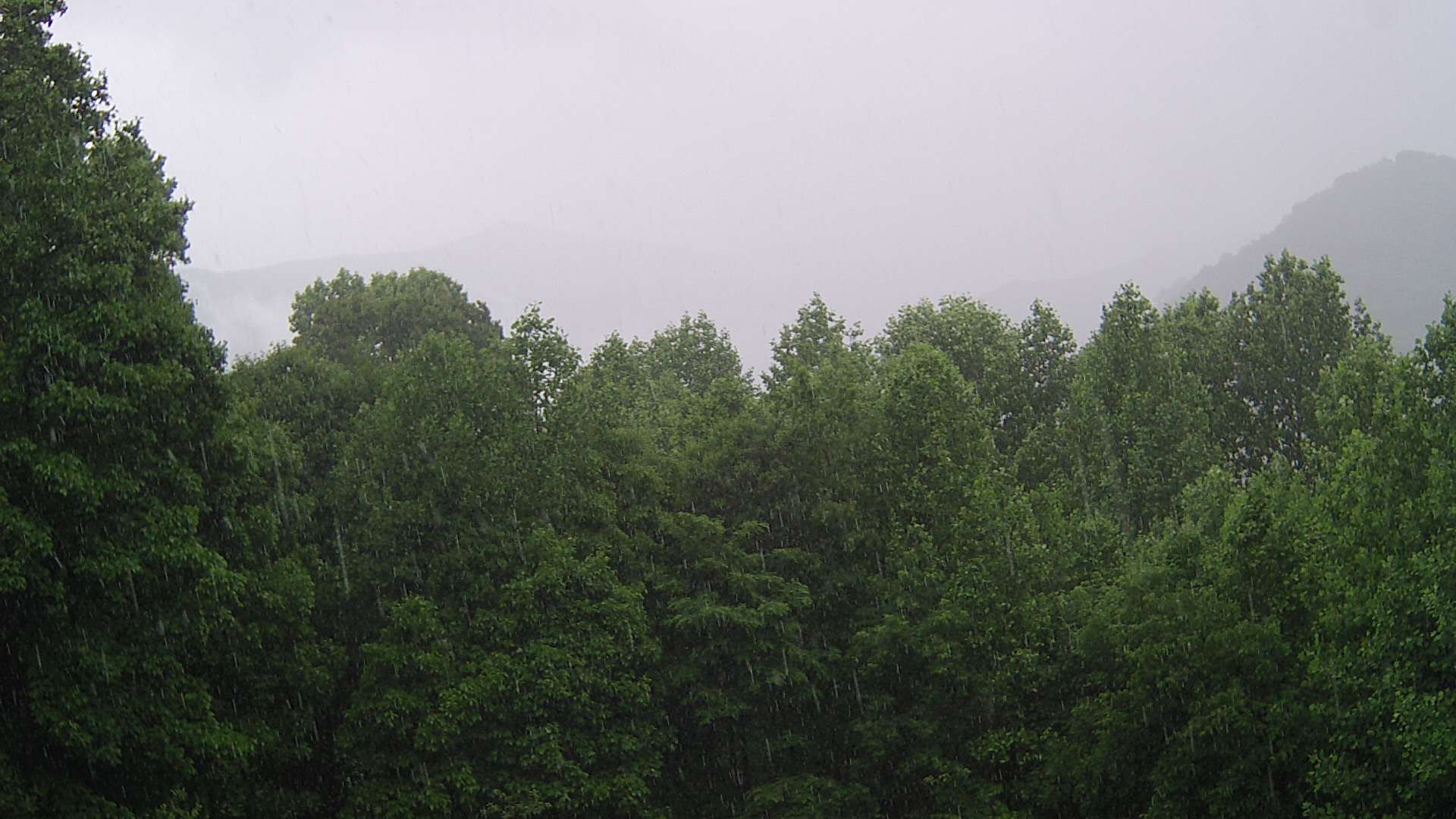 click for next image... slideshow image