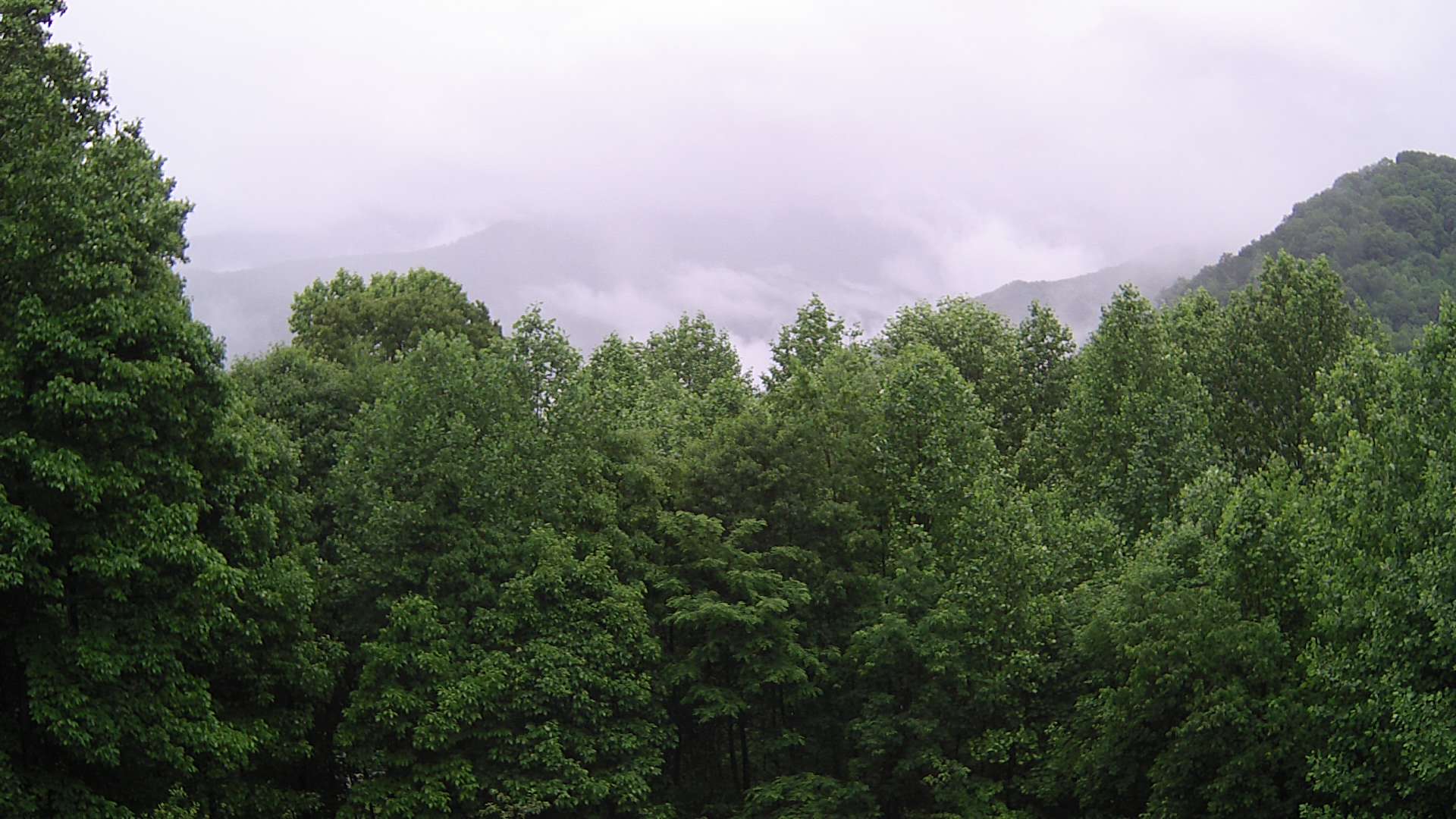 click for next image... slideshow image