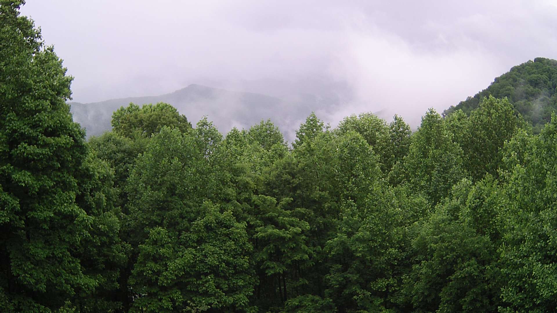 click for next image... slideshow image