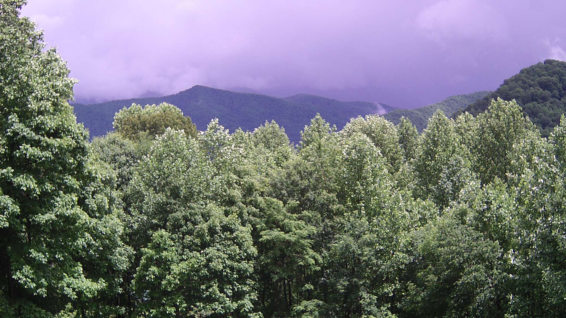 click for next image... slideshow image